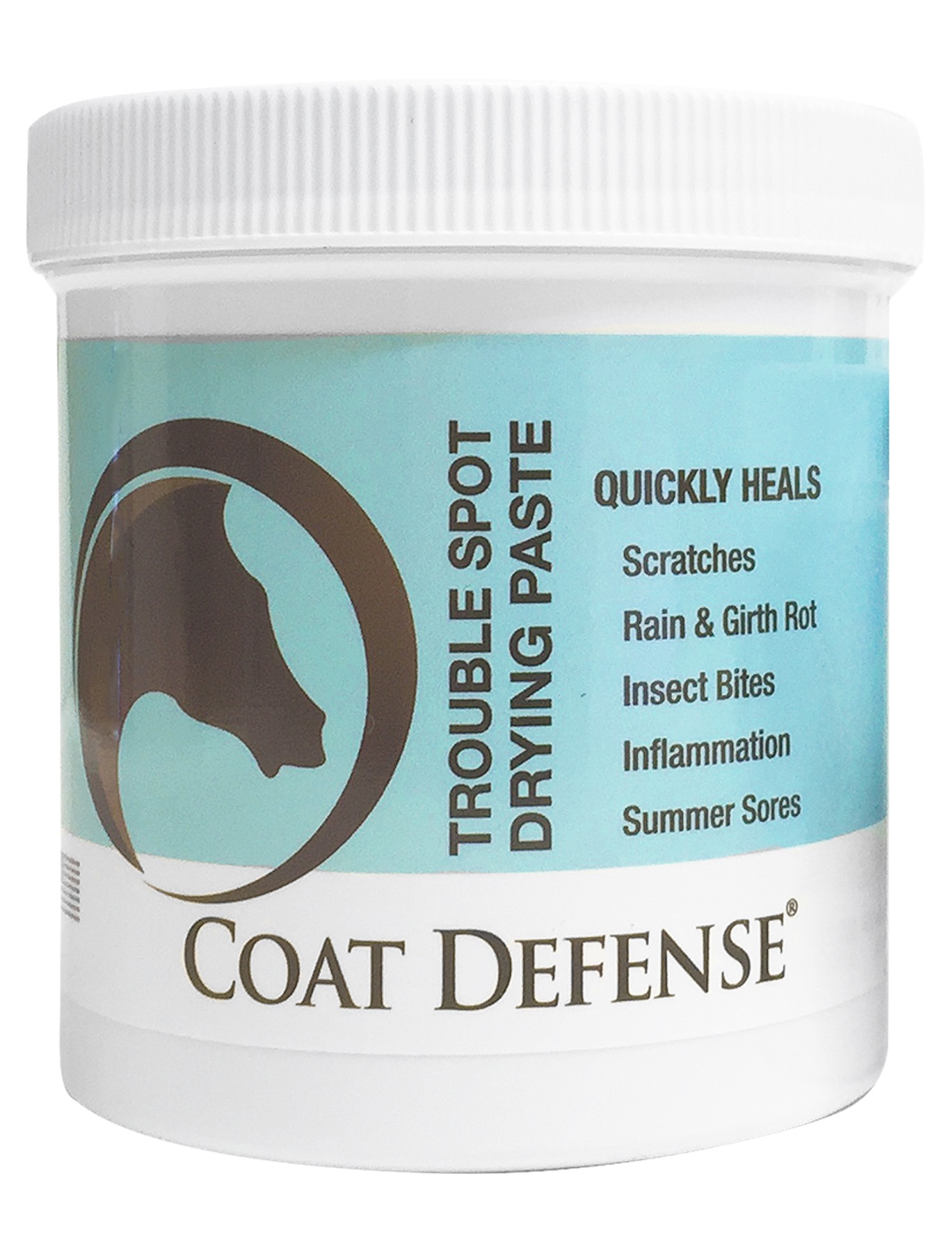 how-to-use-coat-defense-trouble-spot-drying-paste.jpg