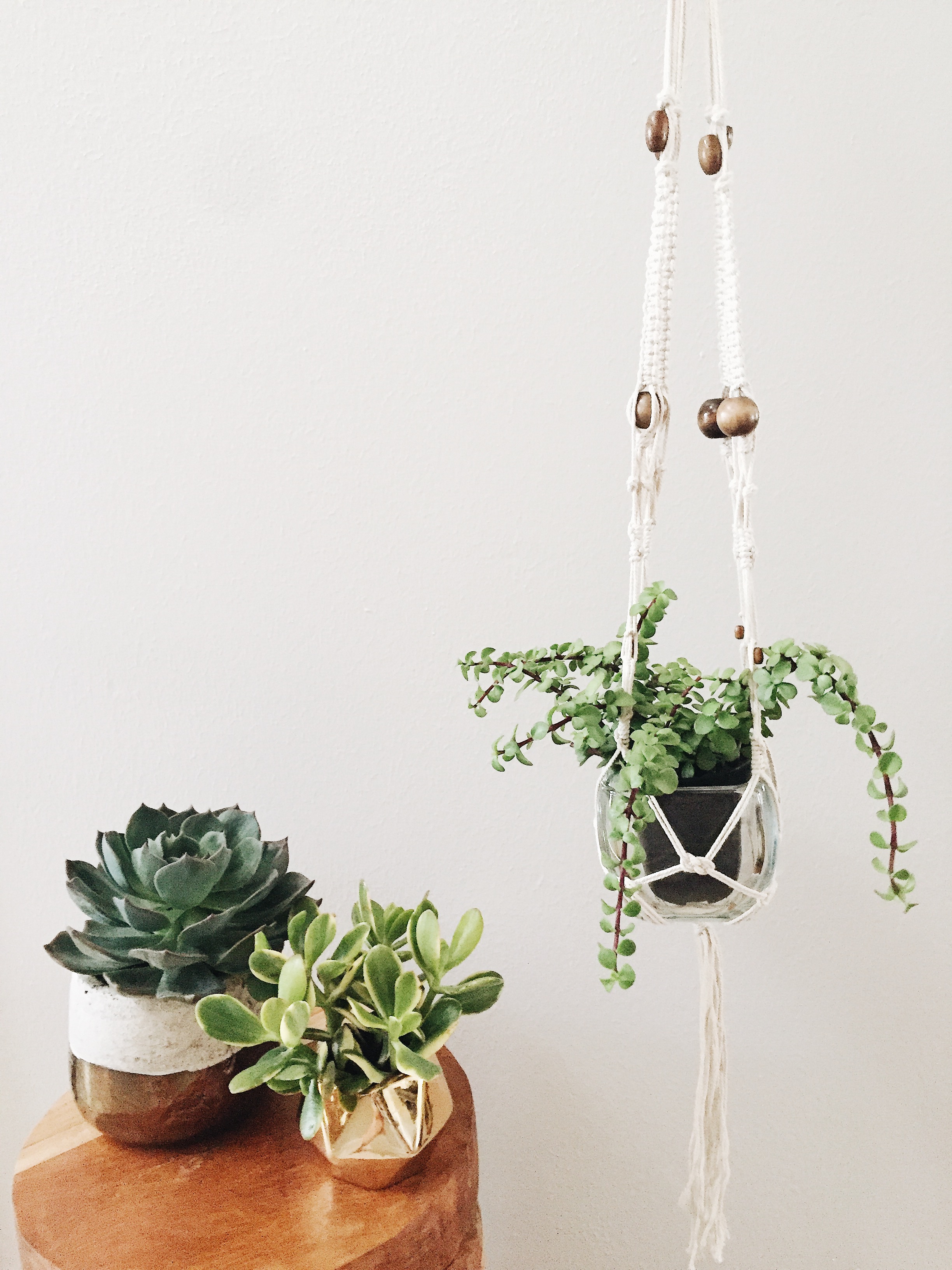 image1 (1).JPG