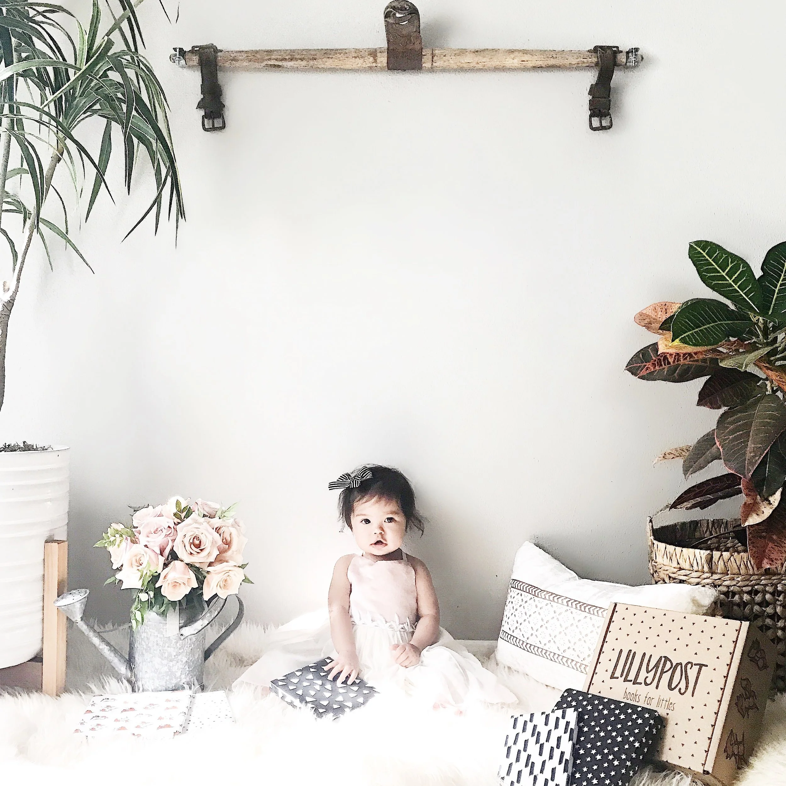 Lillypost Post Board Book Subscription Review with Coupon