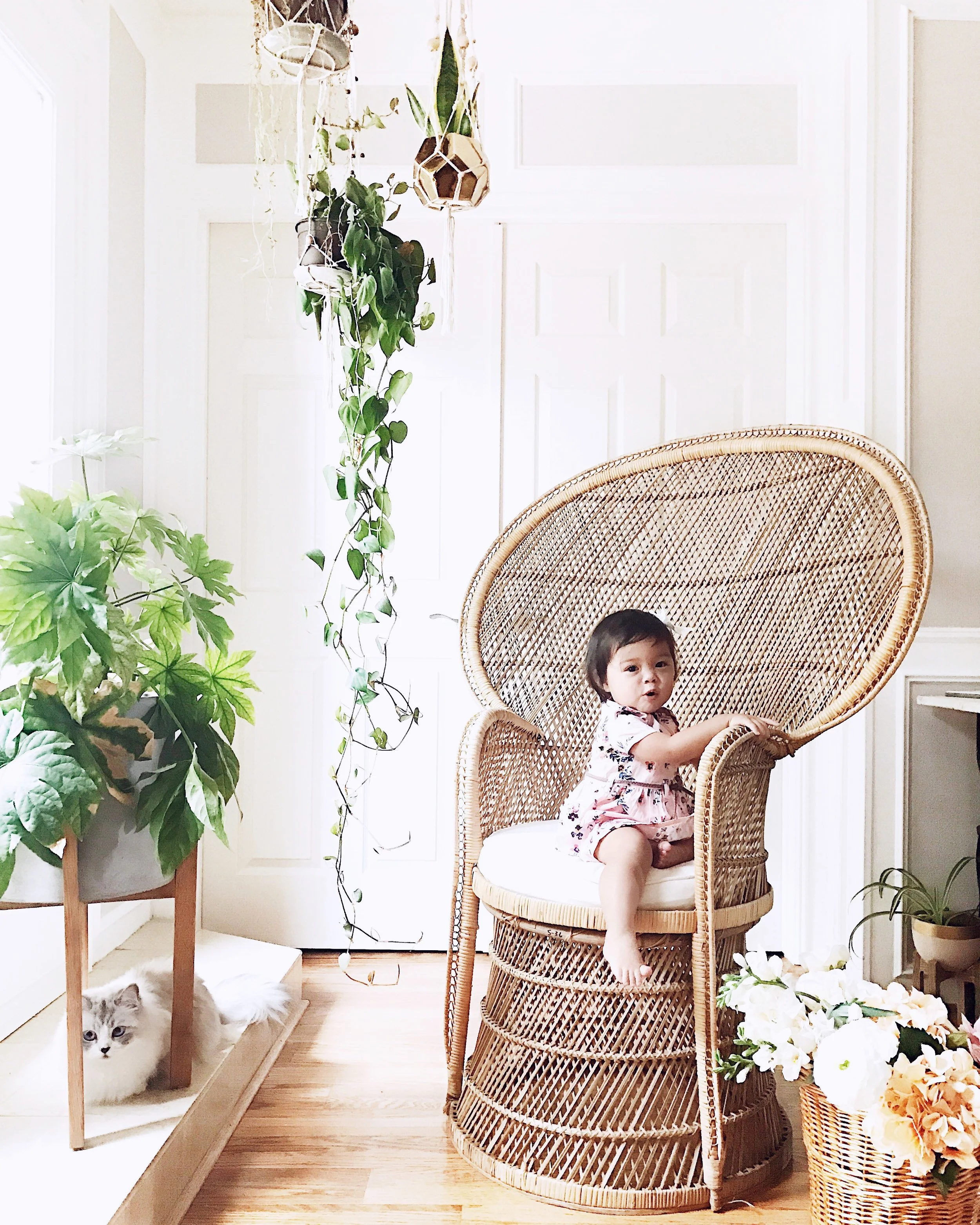 Baby girl outfit guide baby registry