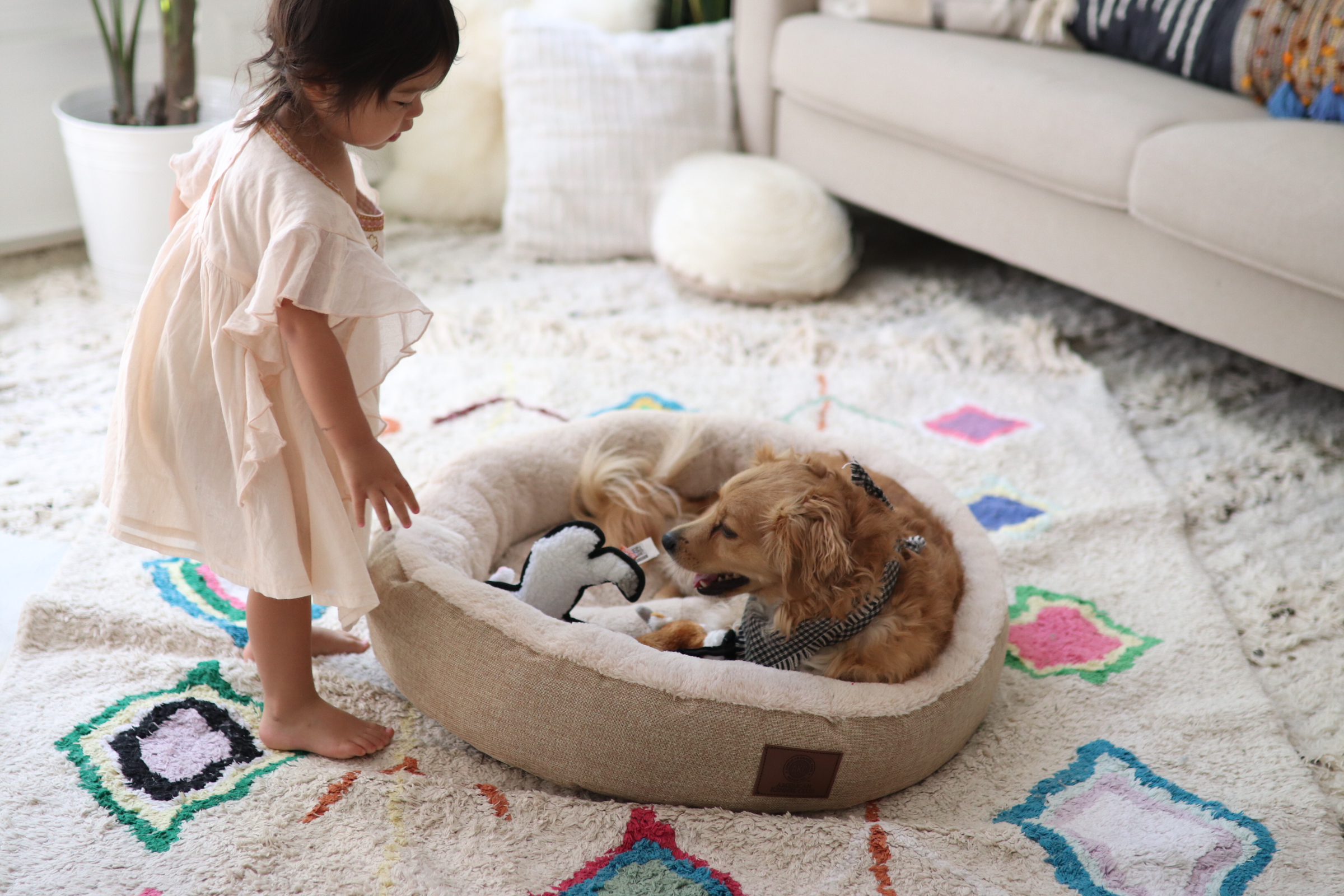 Joyfullygreen Gordman’s National Pet Day Baby and Puppy Love-10.jpg