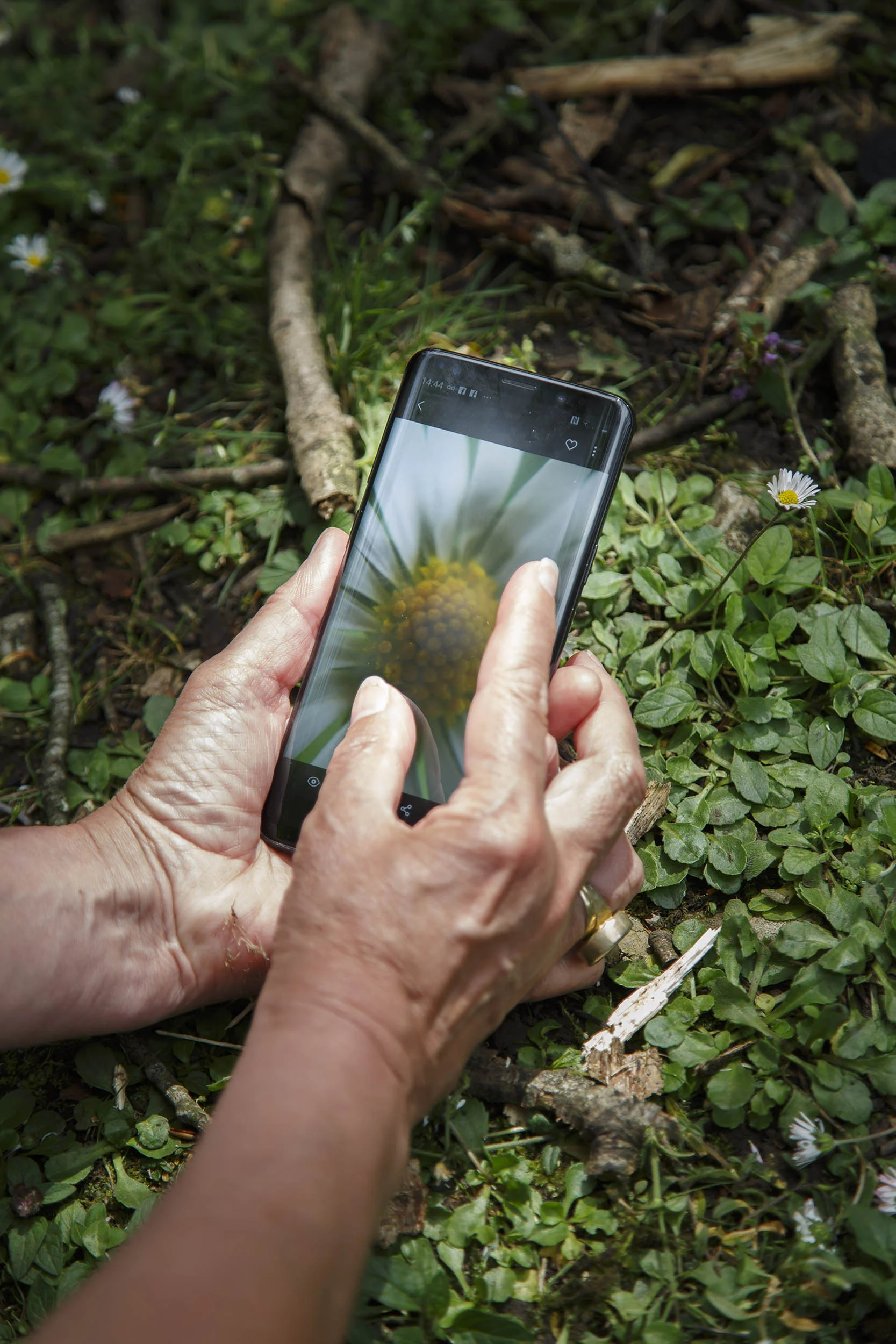 A photograph taken at the British Ecological Society Summer School at Malham Tarn, Yorkshire