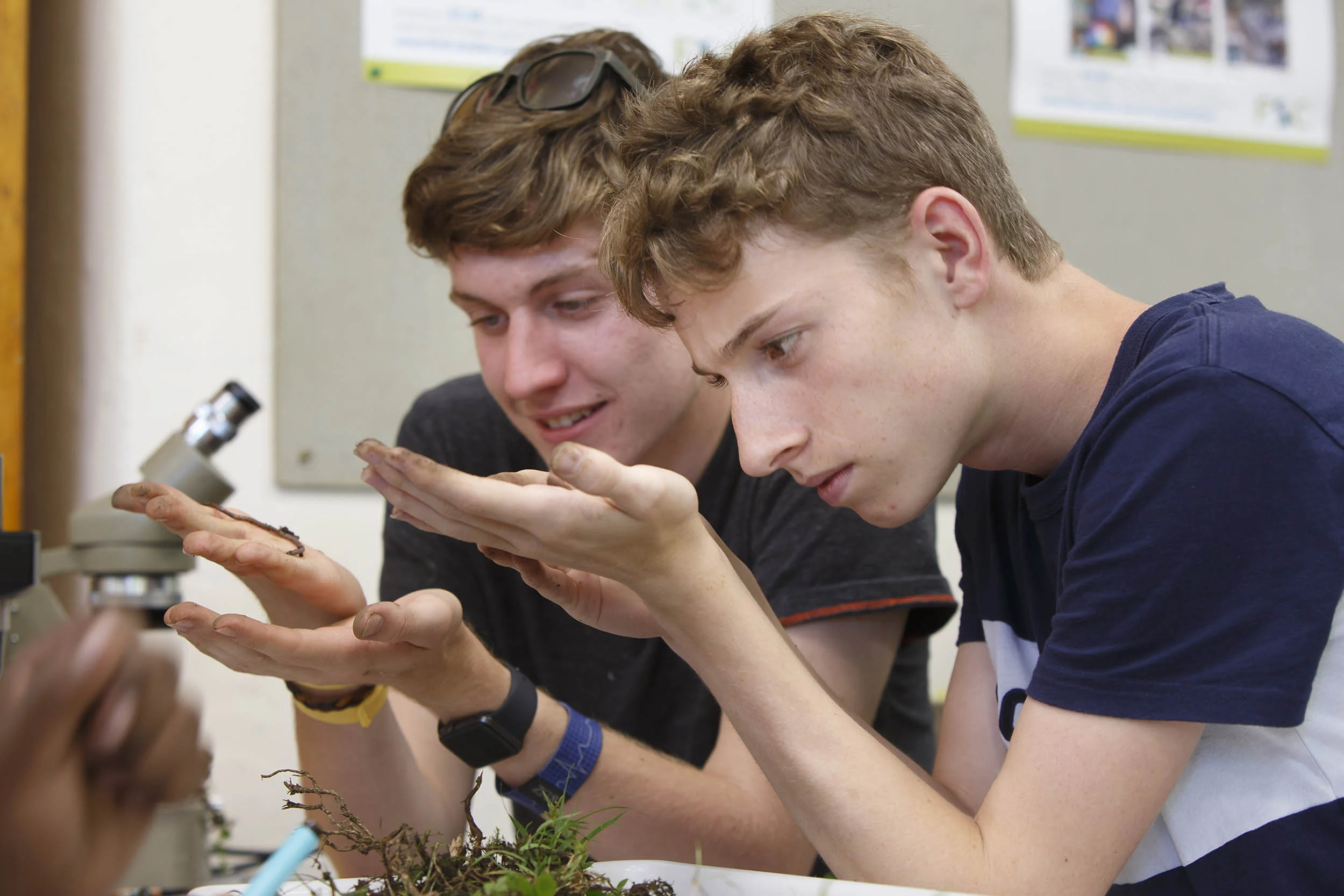 A photograph taken at the British Ecological Society Summer School at Malham Tarn, Yorkshire