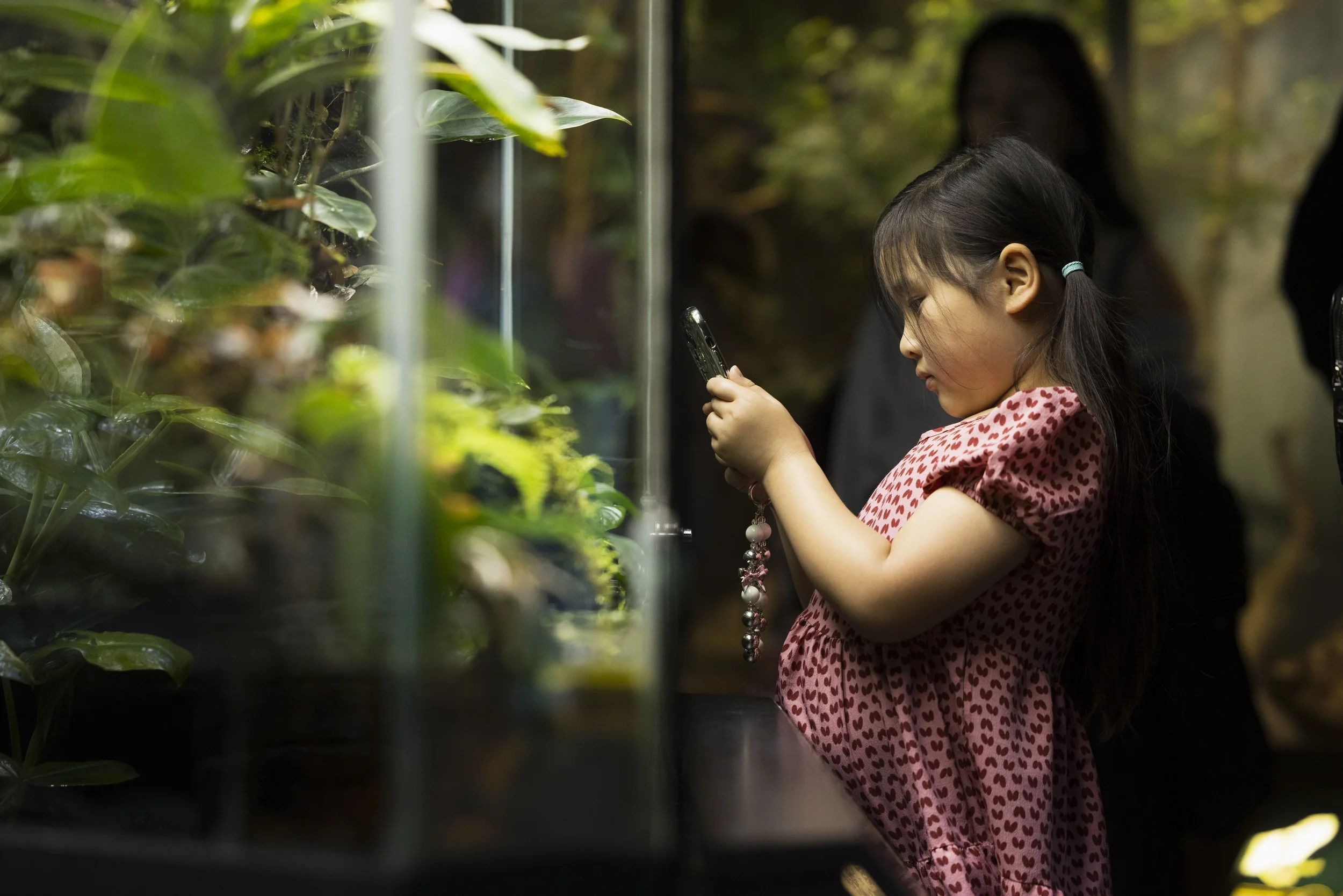  Young Asian girl photographing the contents of a terrarium with her phone during a public event at Manchester Museum. 