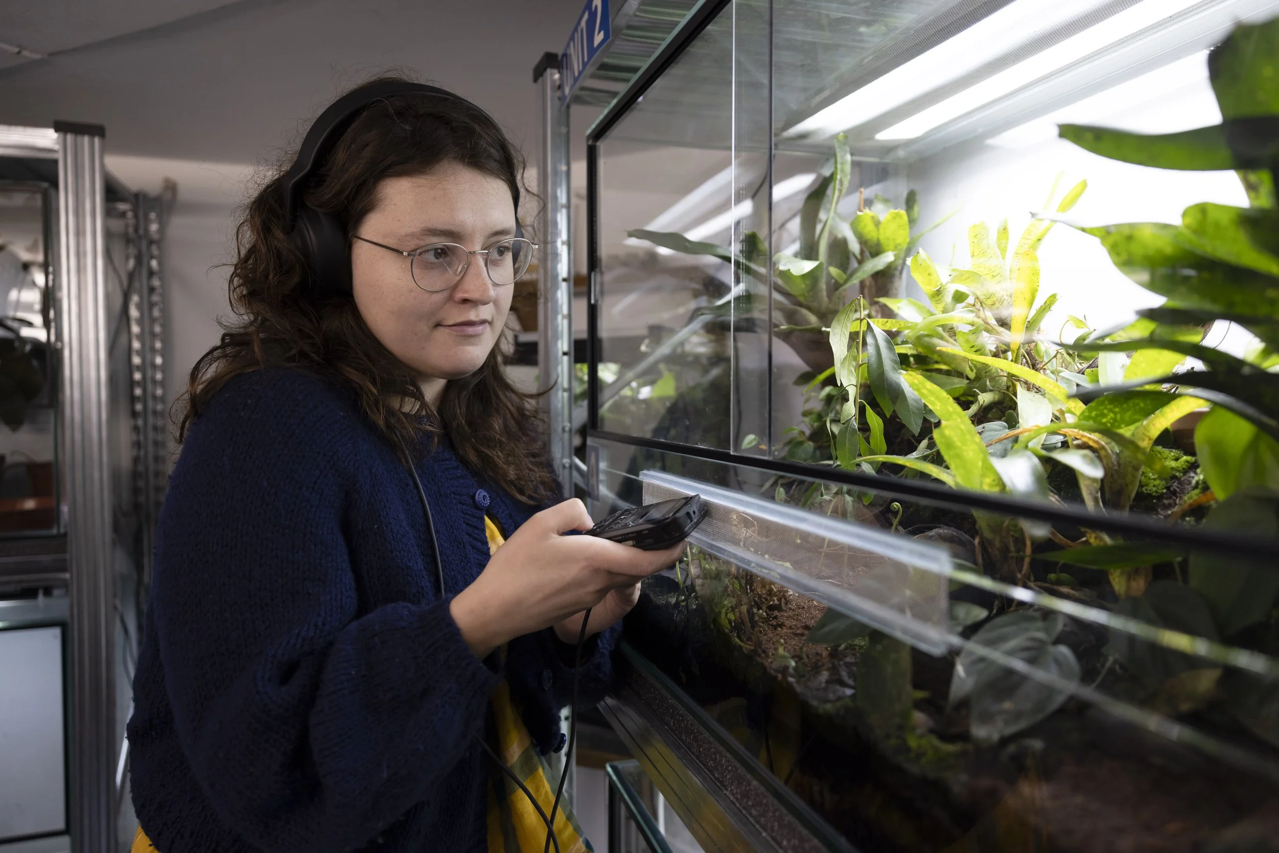 Young woman recording frog sounds inside terrarium during sound workshop at EarthSonic Live, Manchester Museum