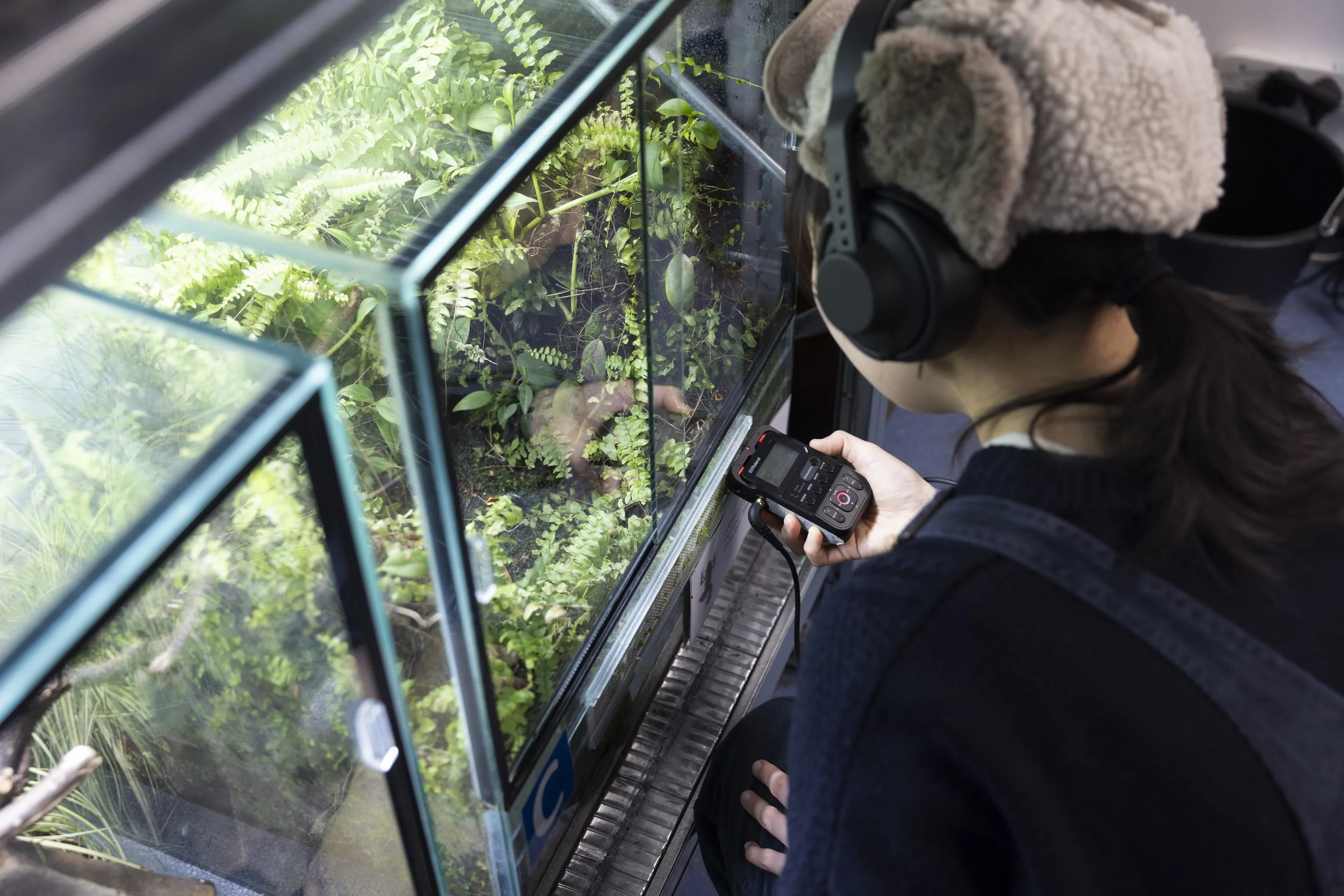 Close-up of participant recording frog sounds in terrarium during interactive sound installation at EarthSonic Live