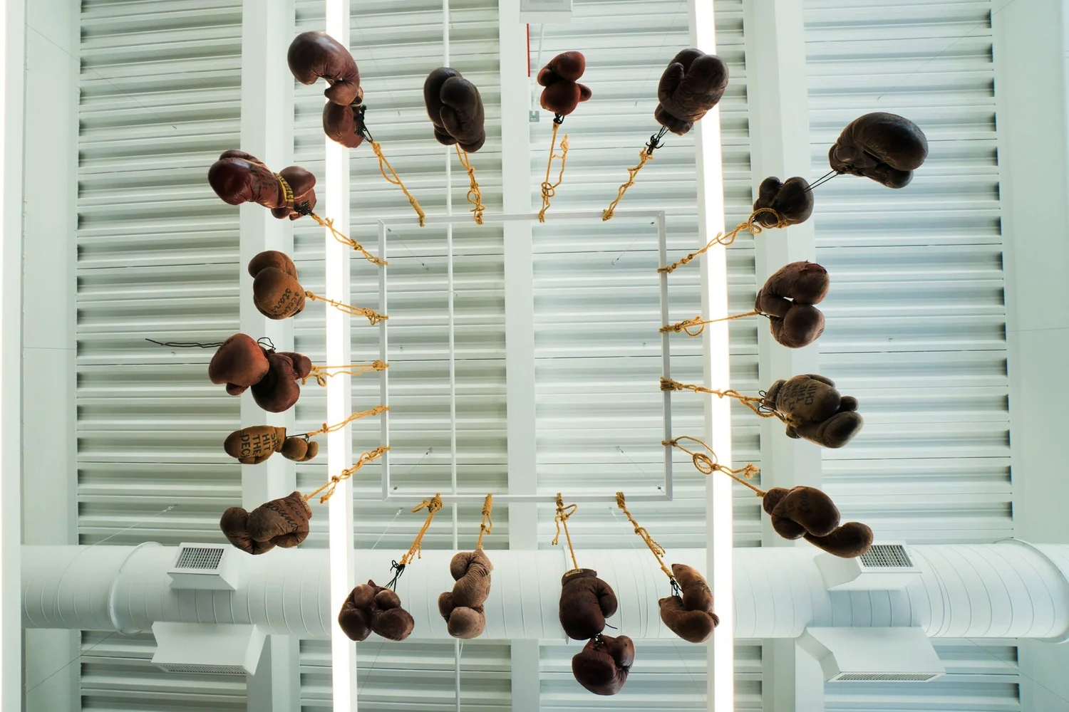 File Oct 04, 3 15 19 PM.jpeg