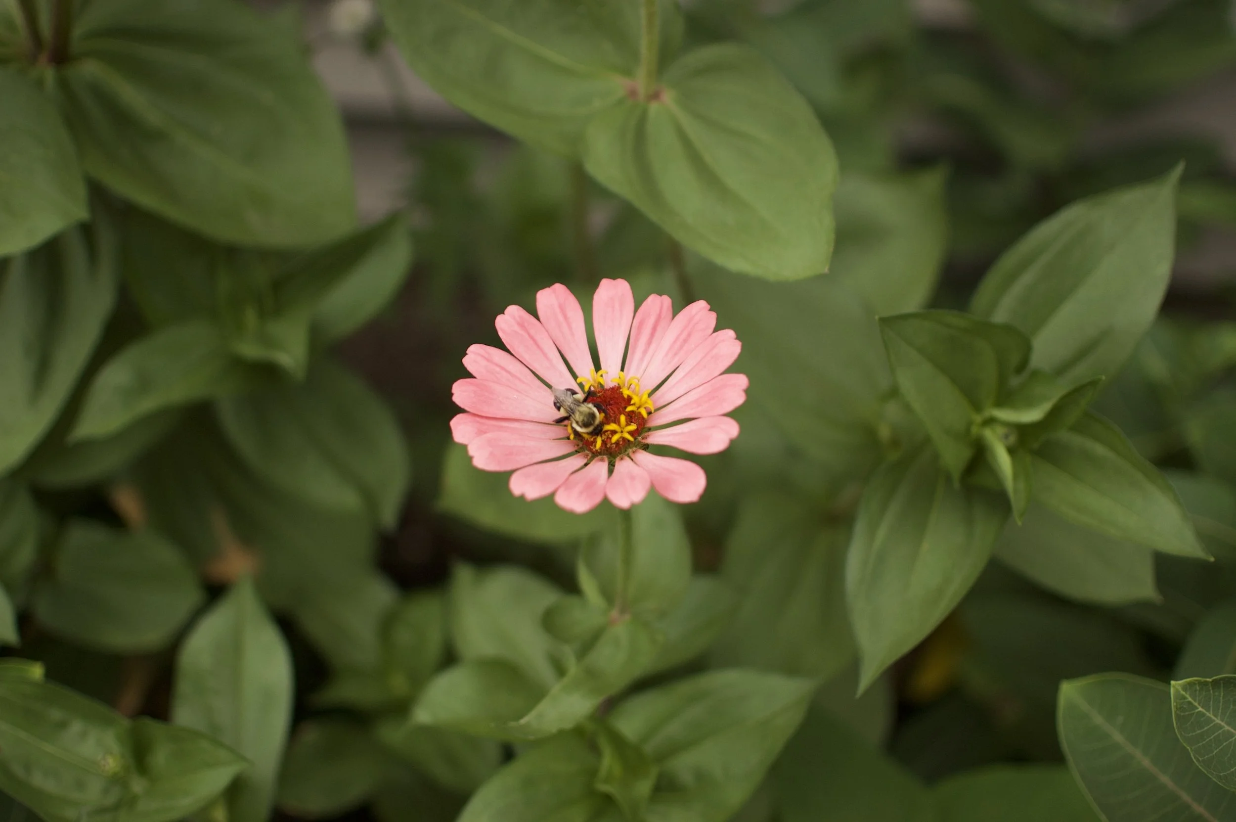 DSC_0071.jpeg