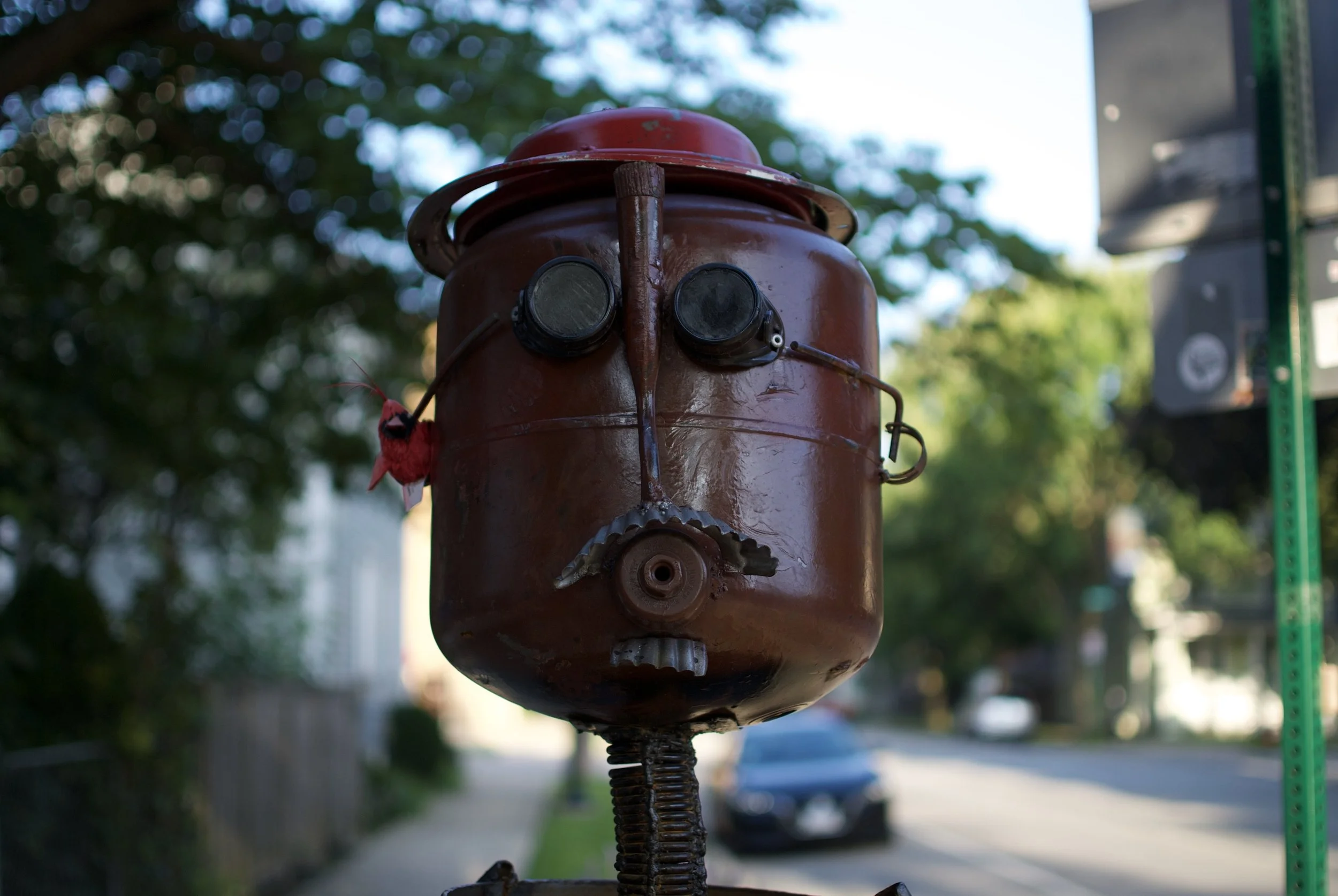 DSC_0420.jpeg