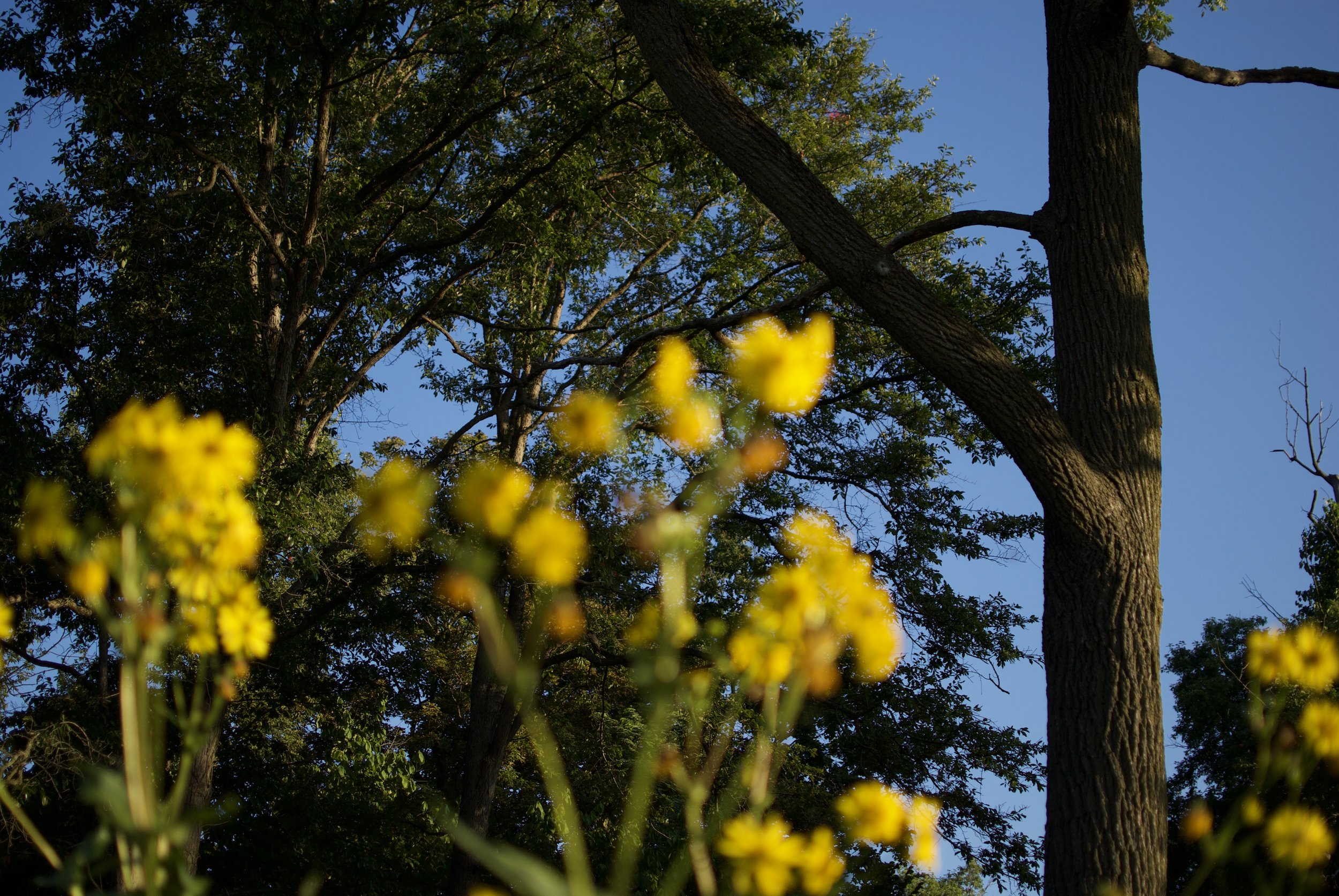 DSC_0492.jpeg