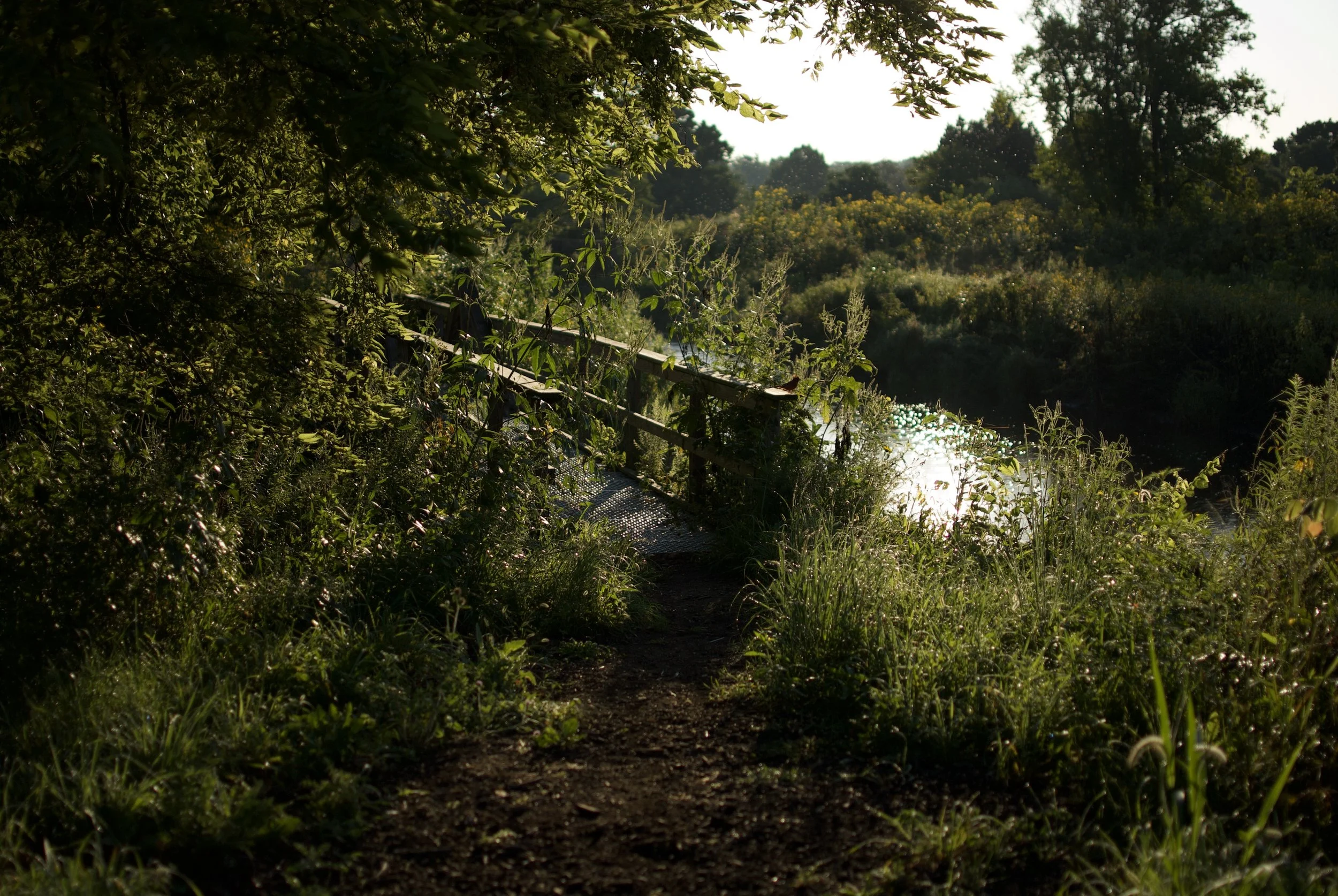 DSC_0494.jpeg