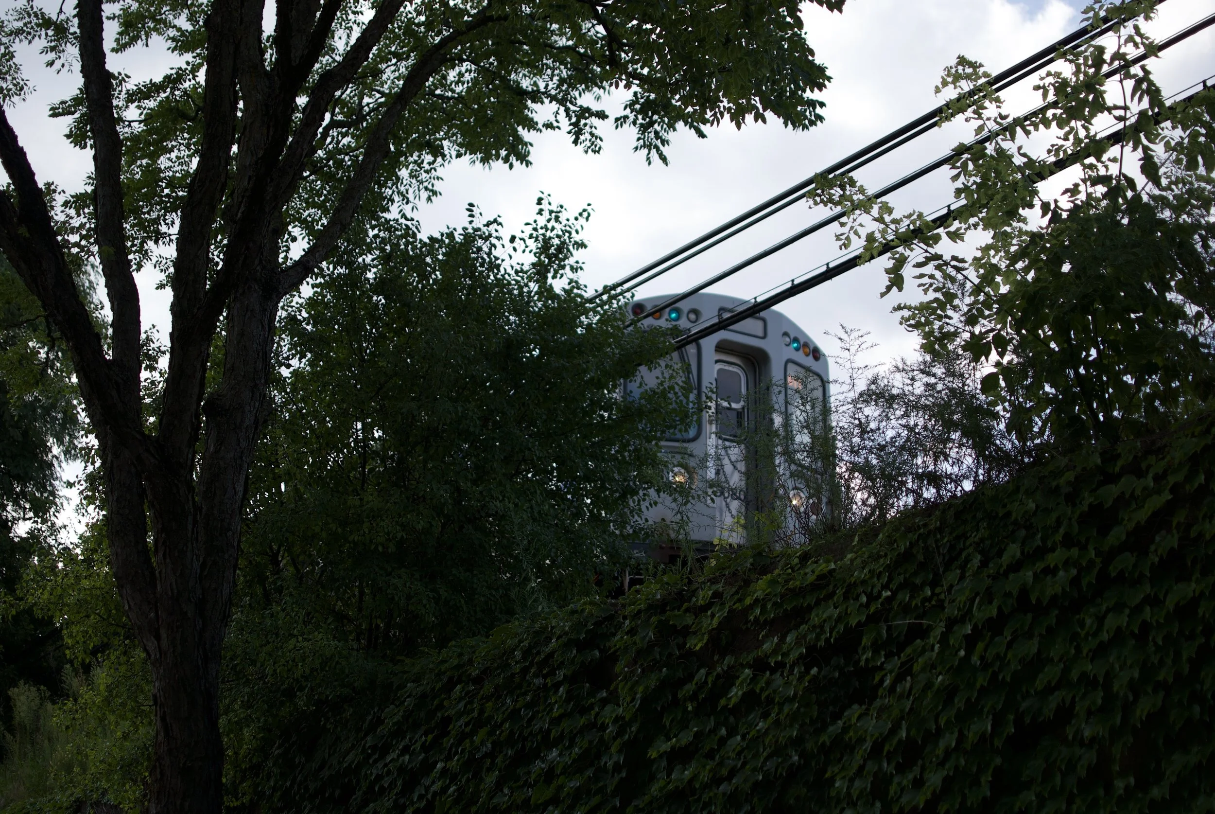 DSC_0596.jpeg