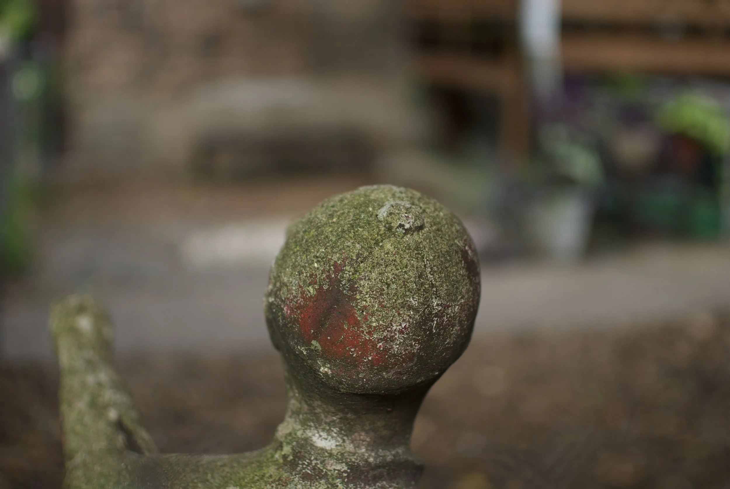 DSC_0642.jpeg