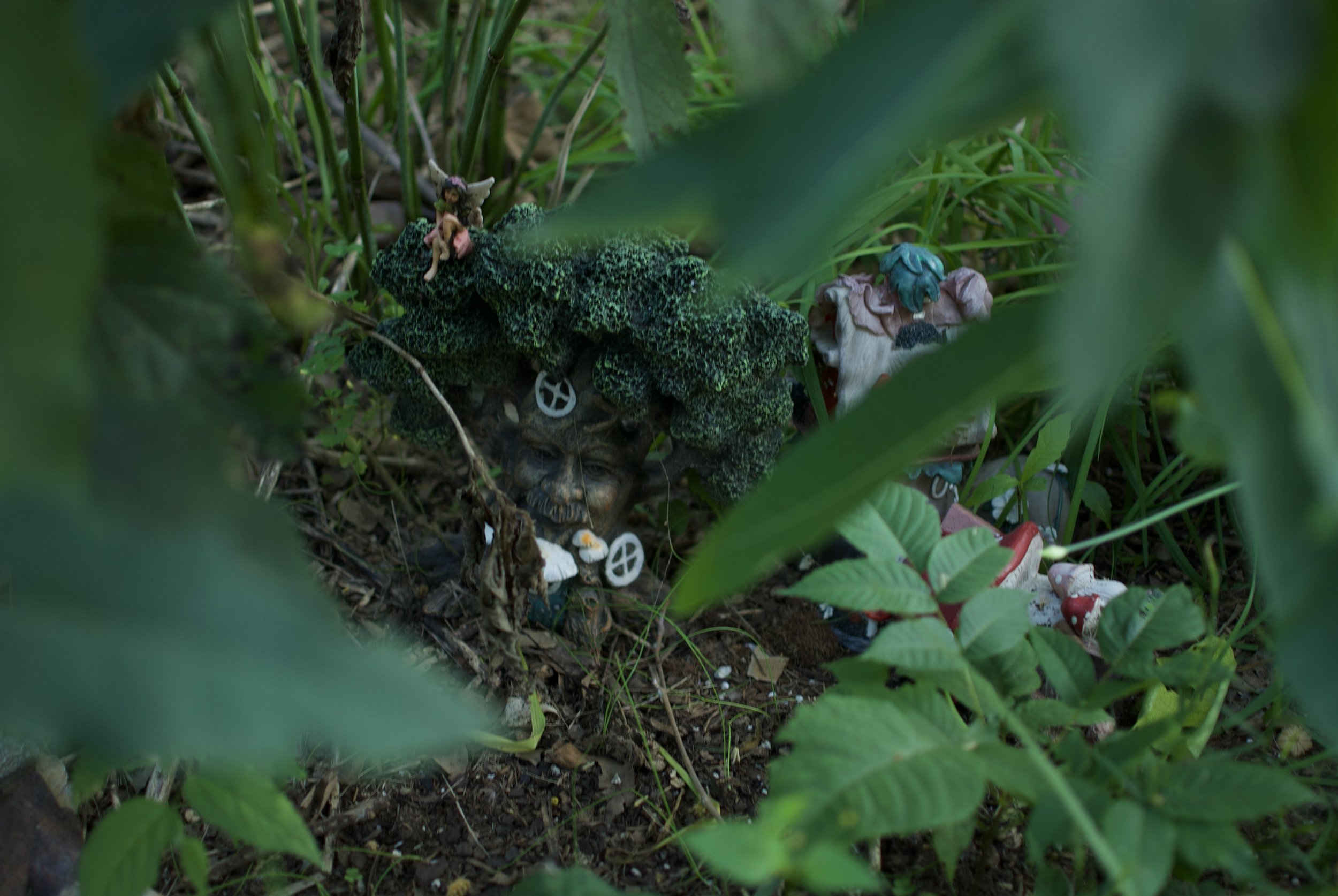 DSC_0711.jpeg