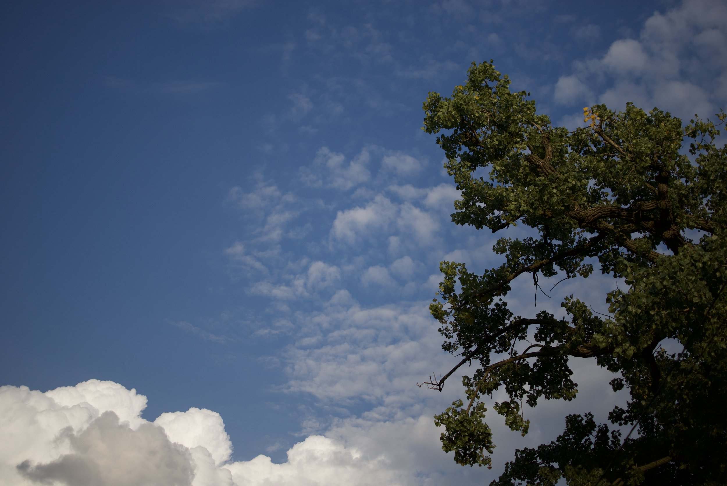 DSC_0790.jpeg