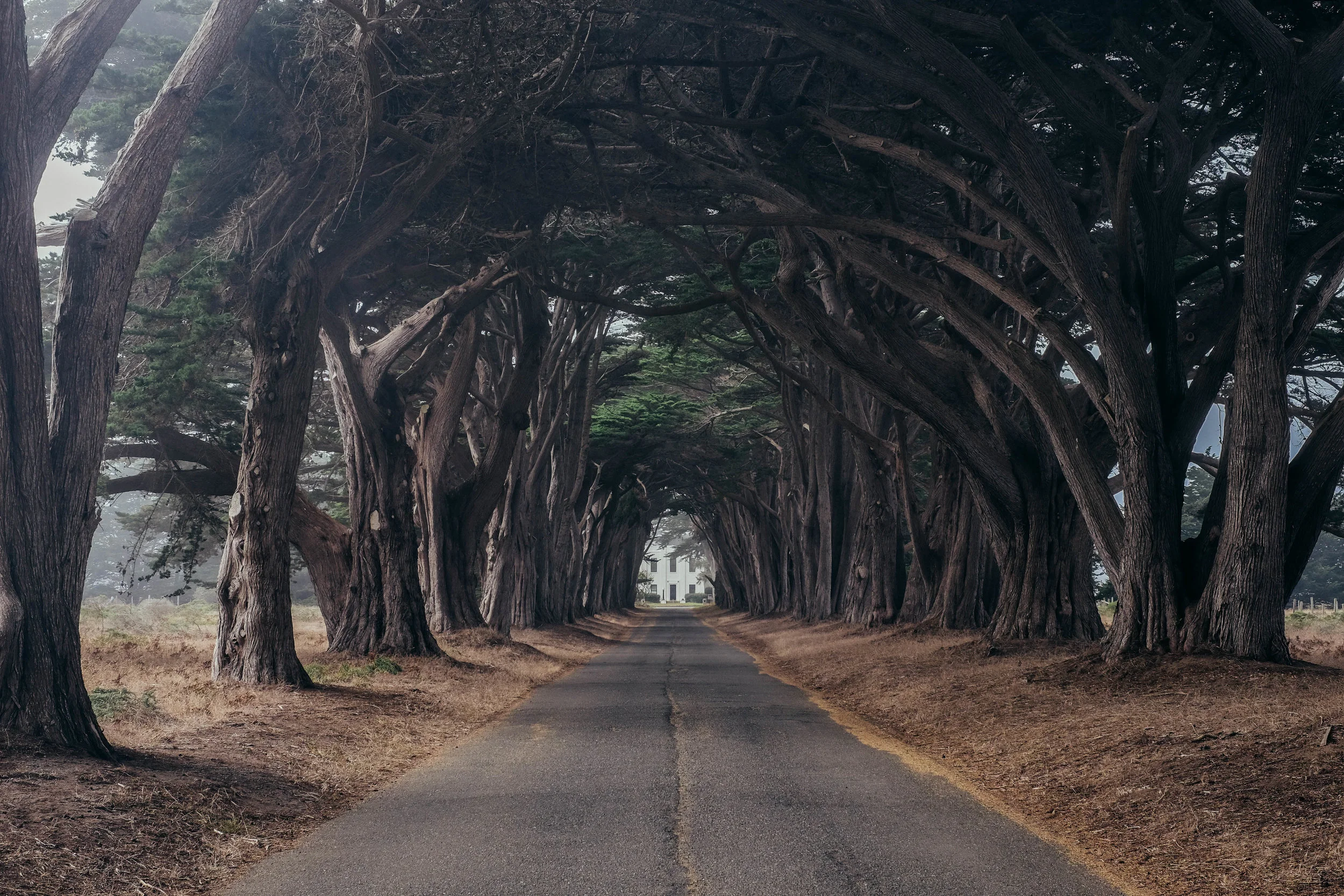 Point Reyes, CA