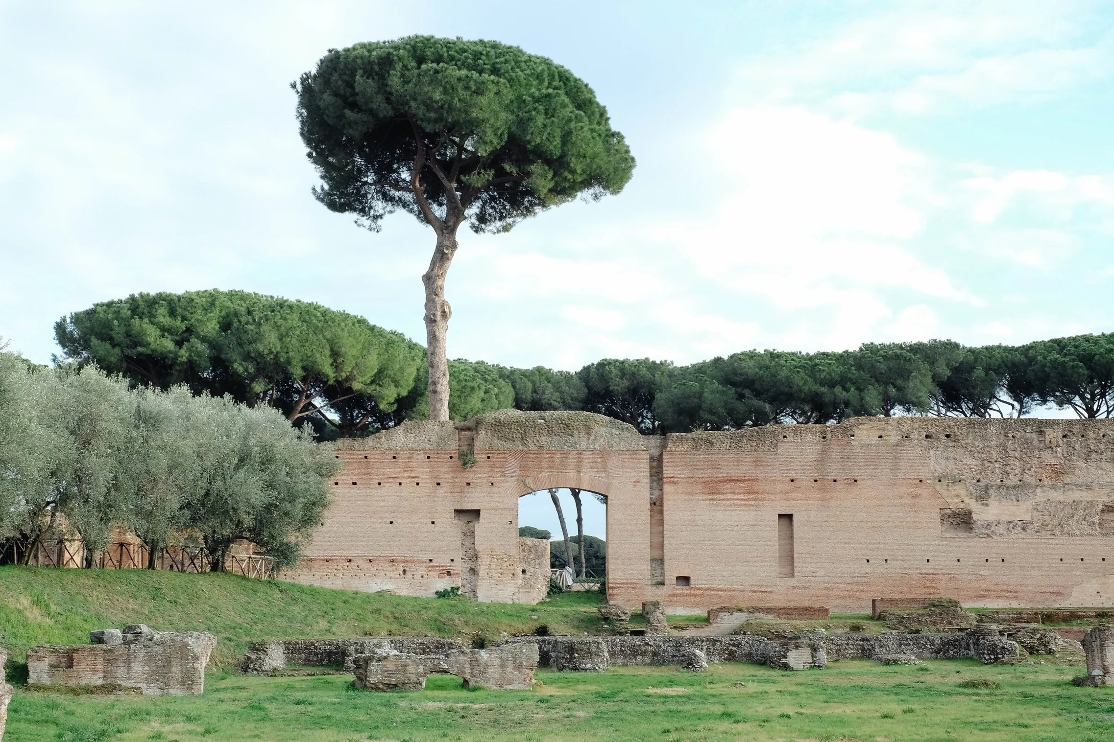 DSCF5317.jpg