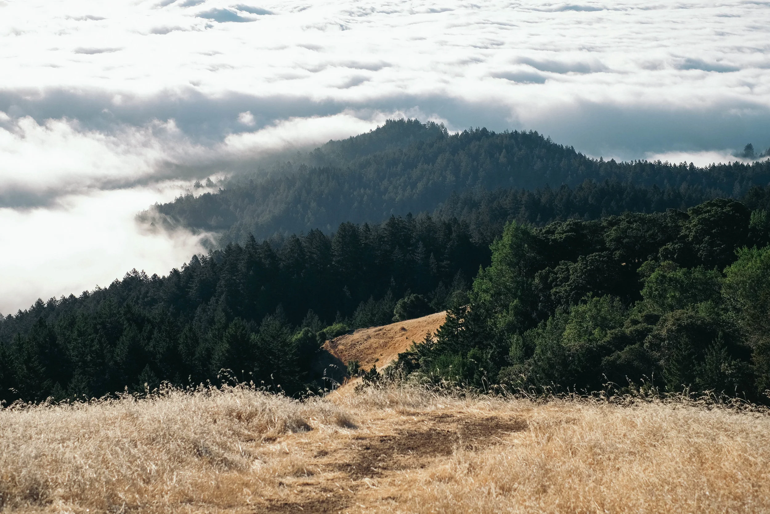 Marin County, CA