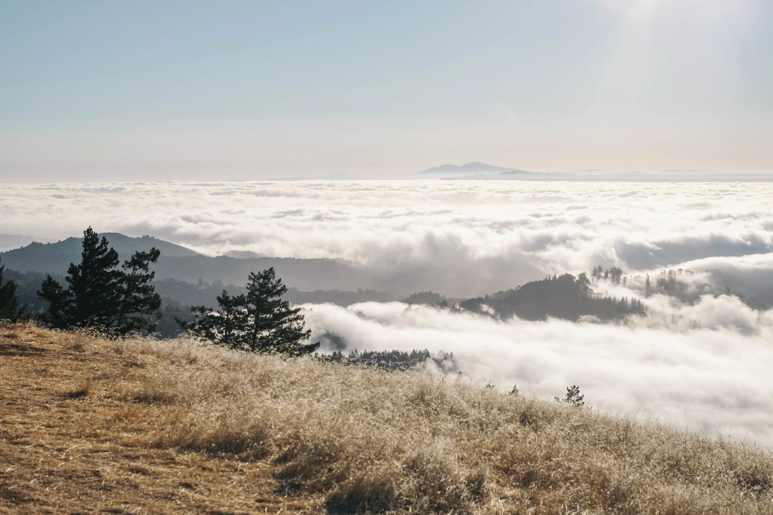Marin County, CA