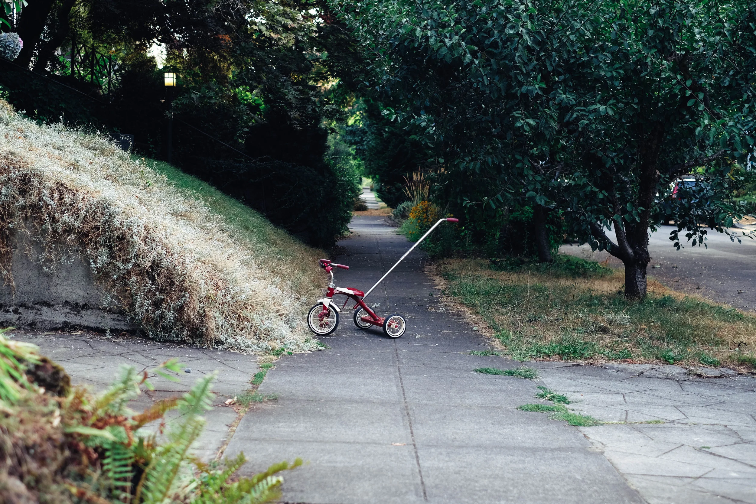 DSCF5877.jpg