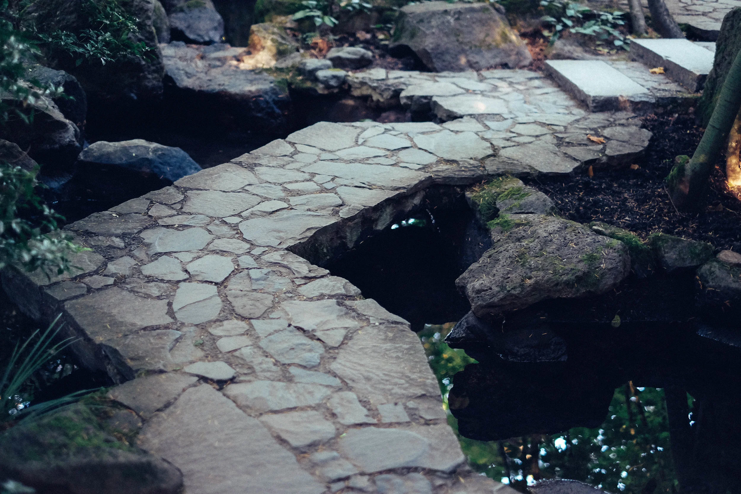 DSCF6061.jpg