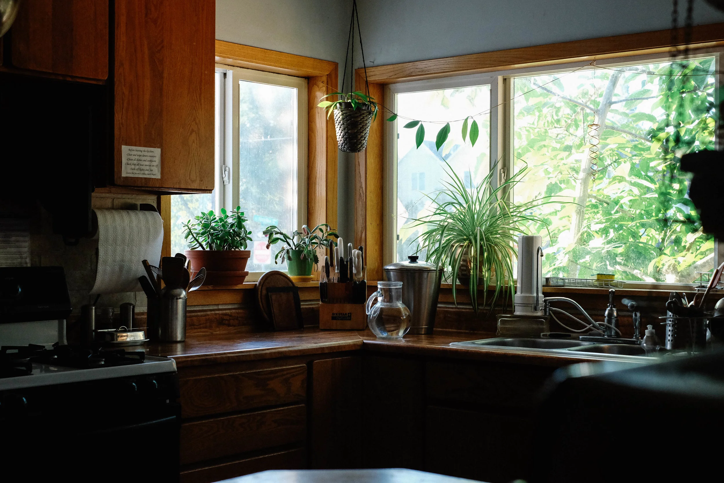 DSCF6174.jpg