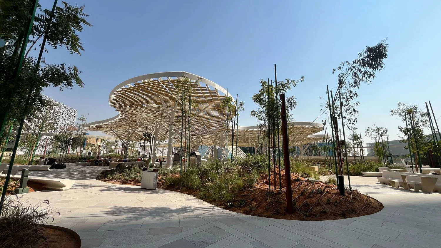 custom canopy shade structure