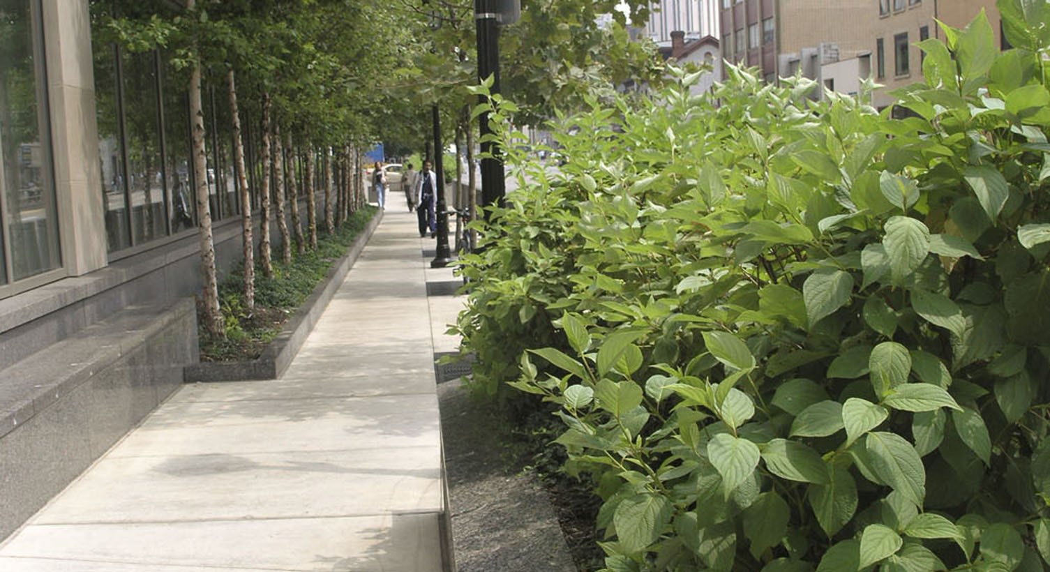 UPITT_SIDEWALK.jpg