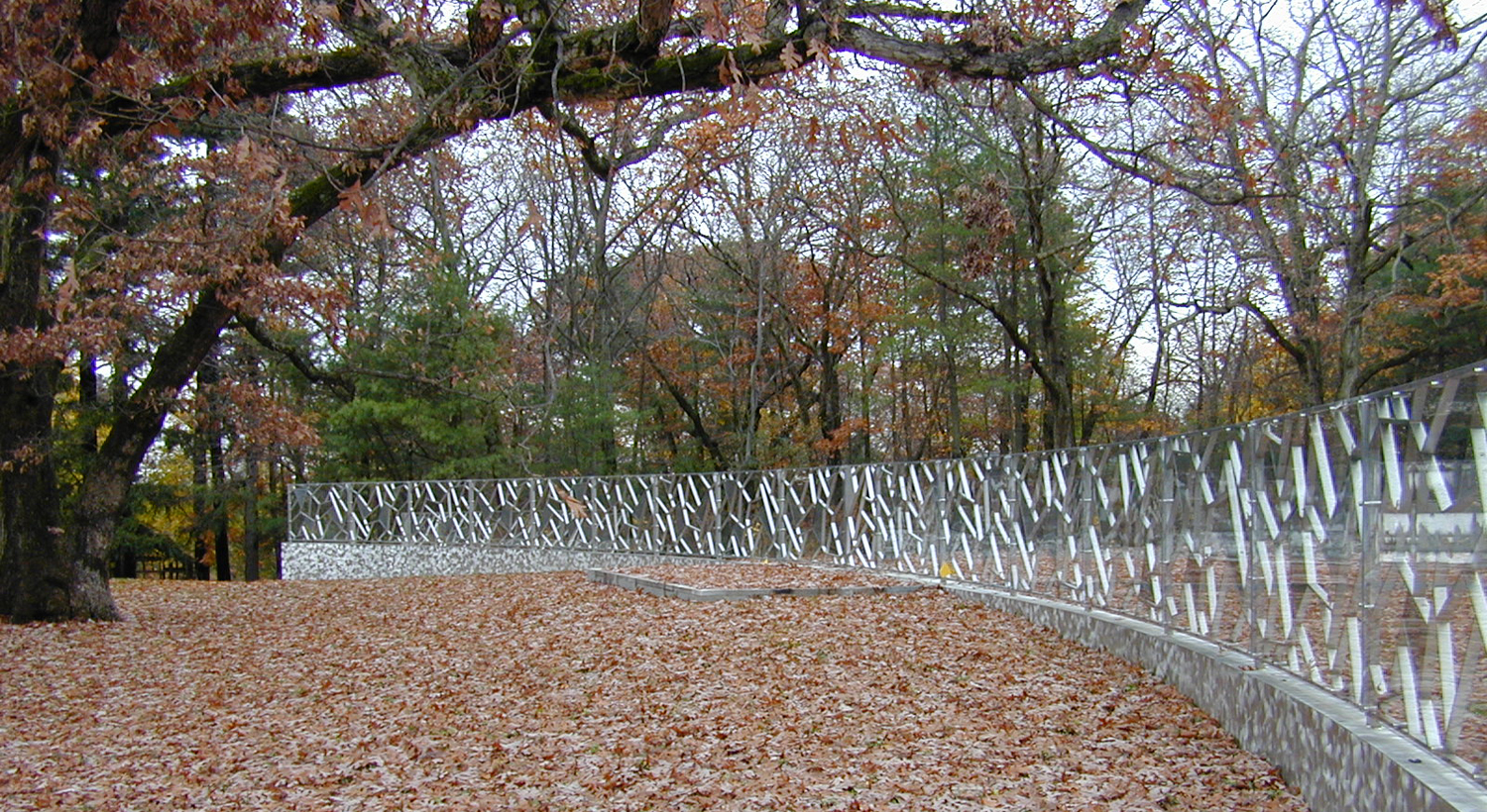 vinik_fence leaves.jpg