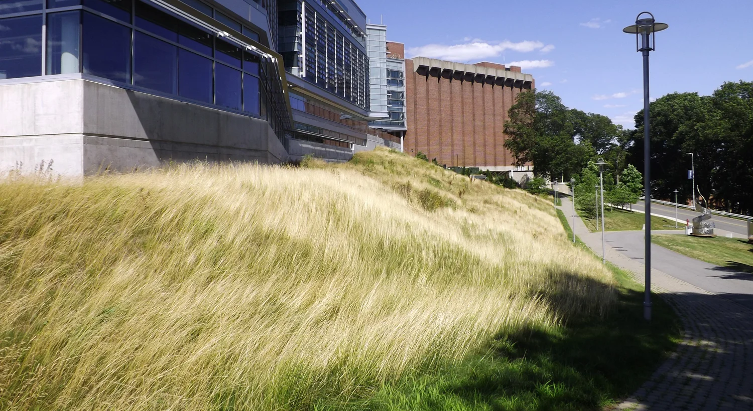 Brandeis built.jpg