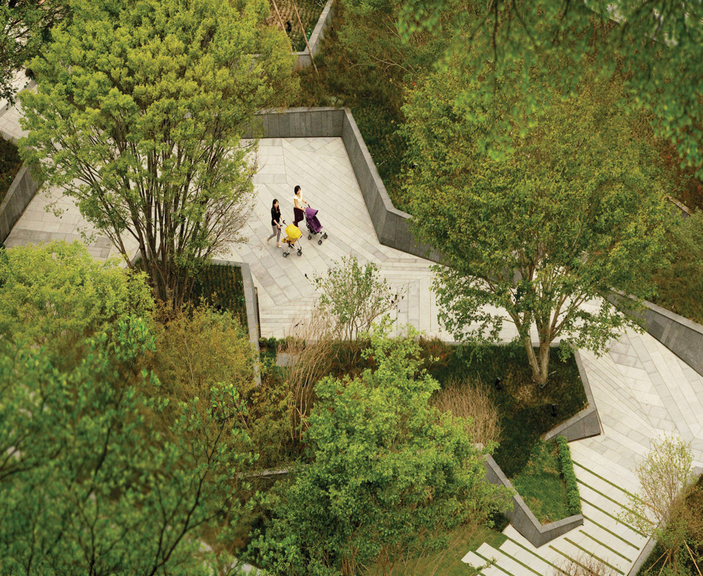Taichung, Taiwan Zelkova Public Realm view project