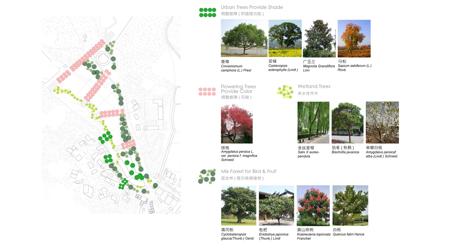 XT-north-treesF.jpg