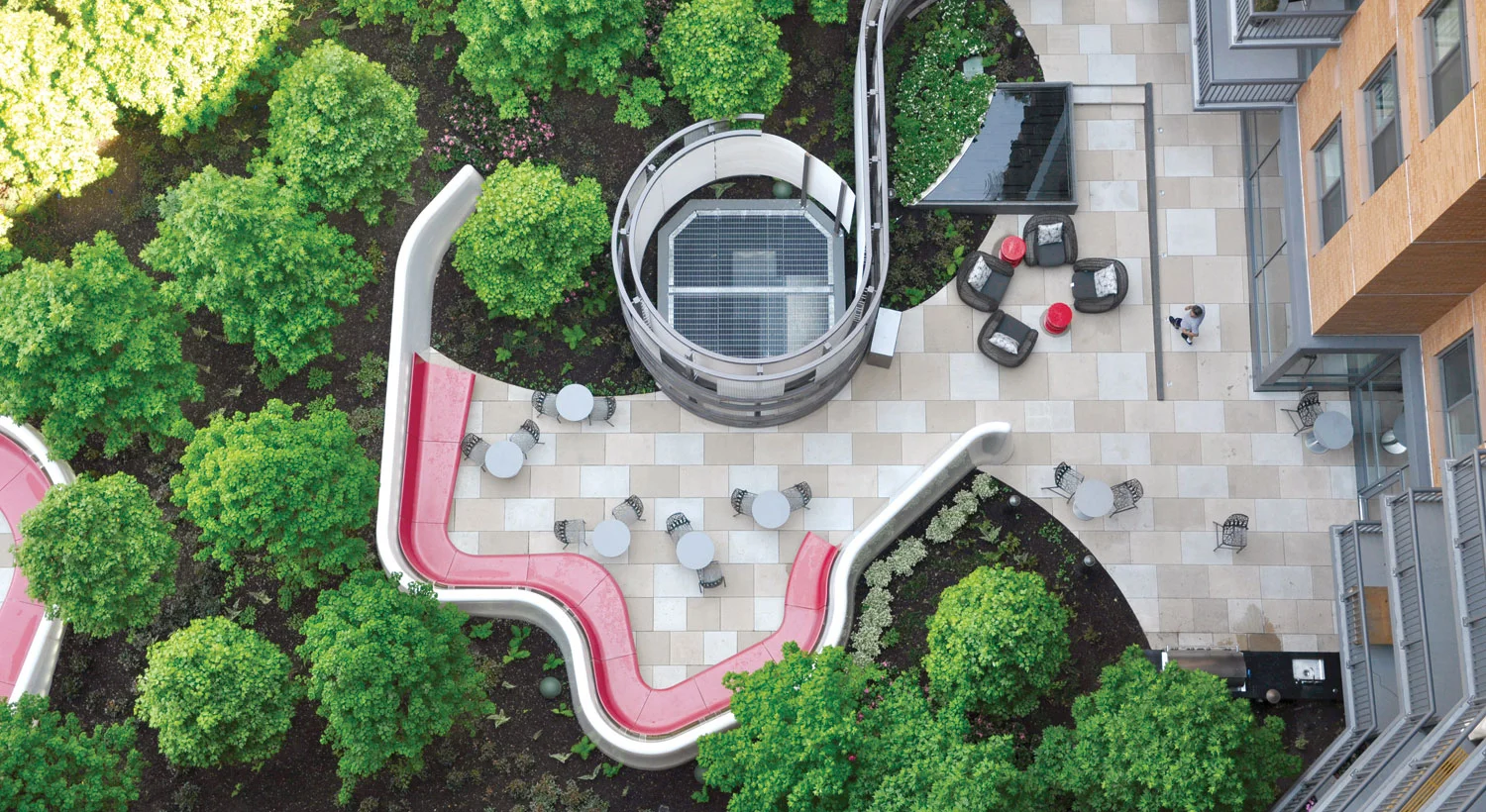 1stm_lookingdown.jpg