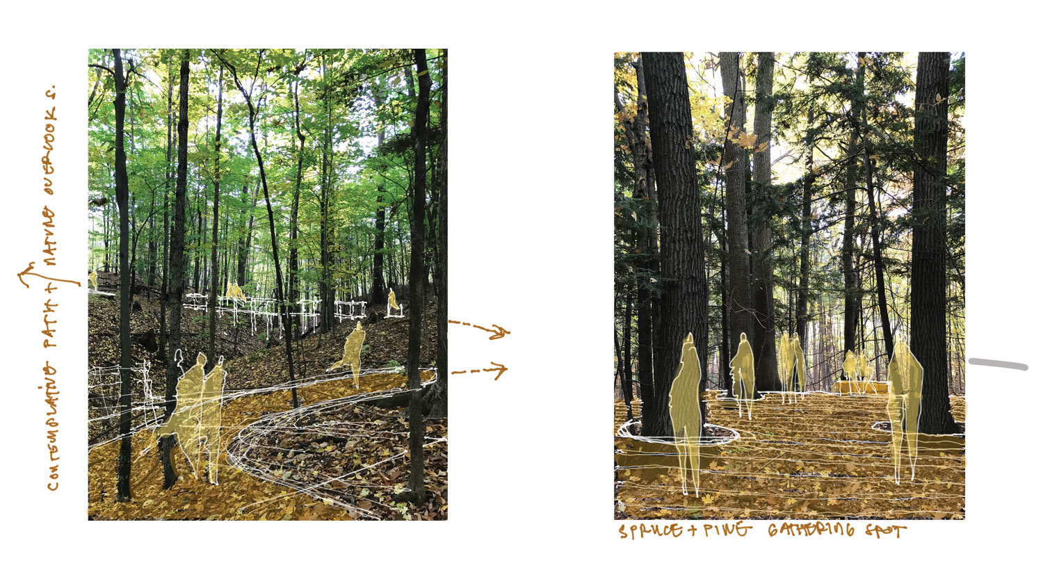 GH_FOREST-SKETCH.jpg