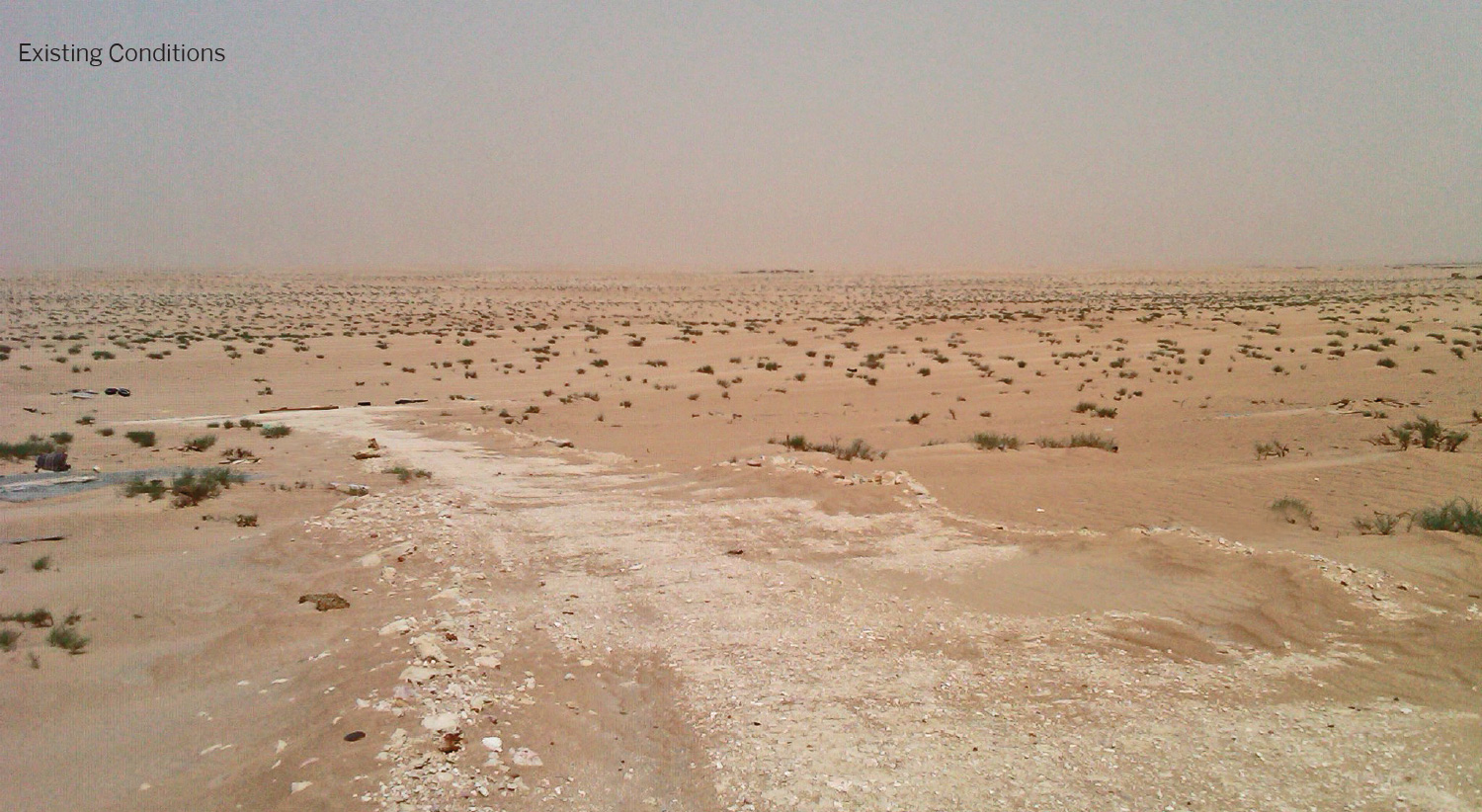 jubail3-2.jpg