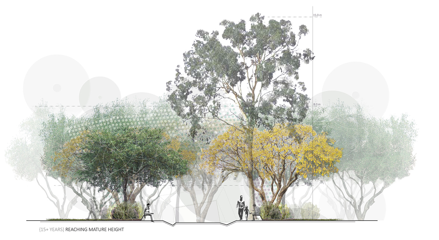diagram_plantingSection1500.jpg