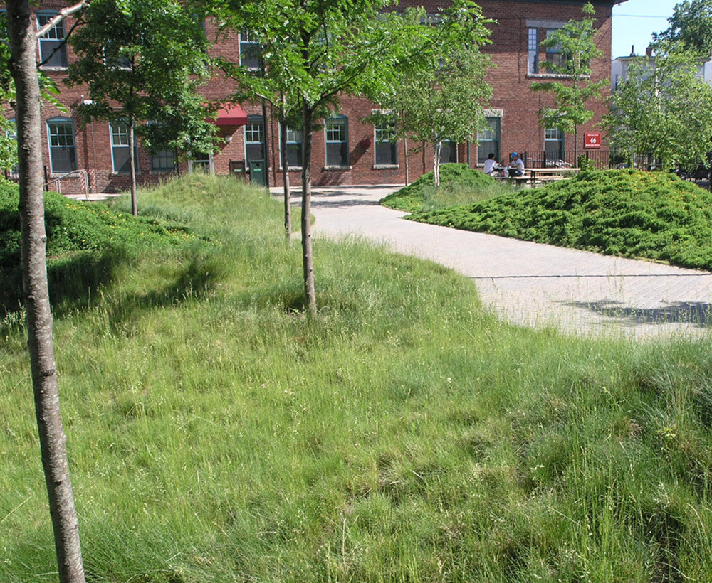 Harvard University: Blackstone Power Plant Renovation