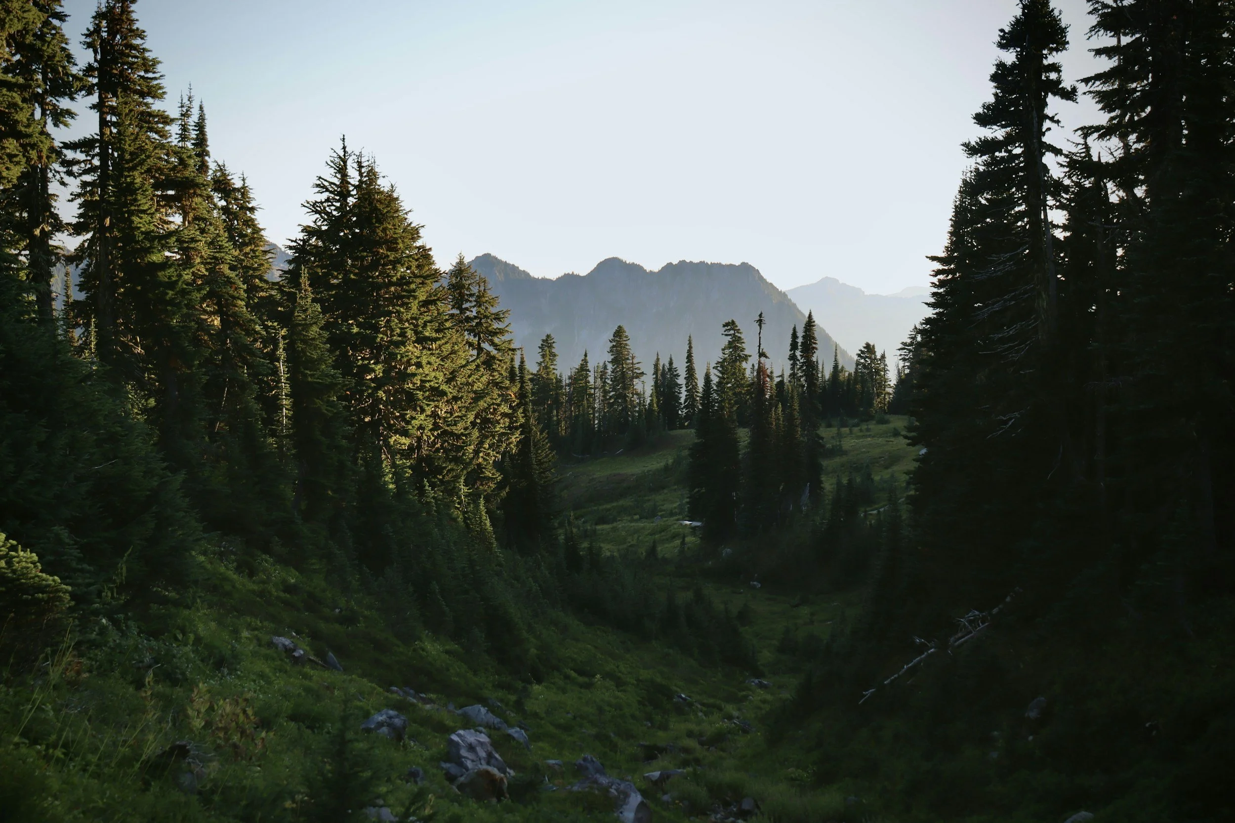 unsplash-image-R4YeGmmEWNM.jpg