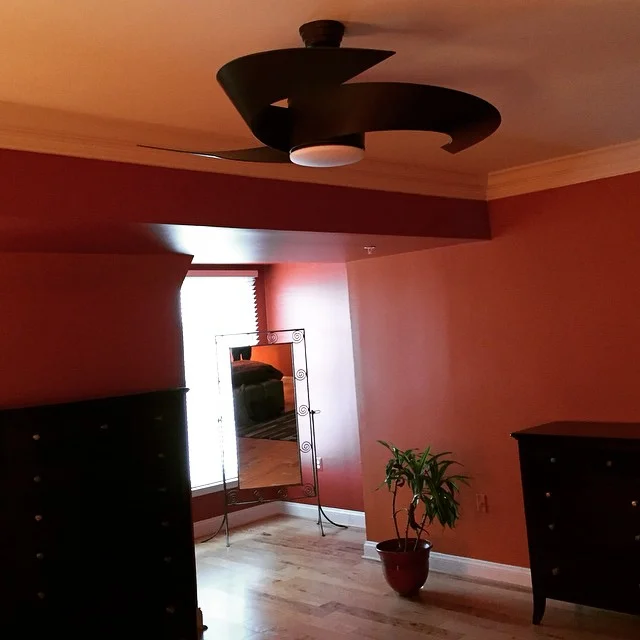 Fanimation Torto Fan