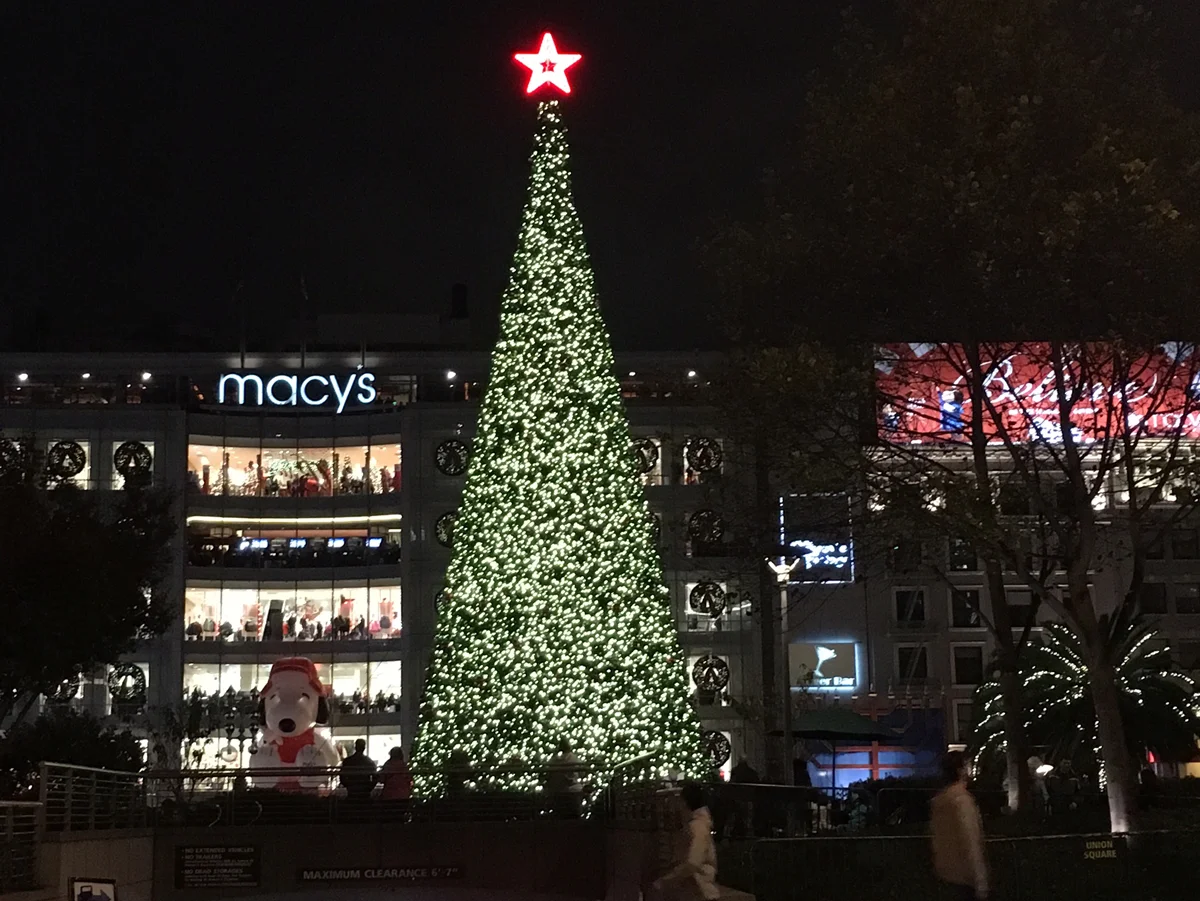 Merry and Bright - San Francisco style