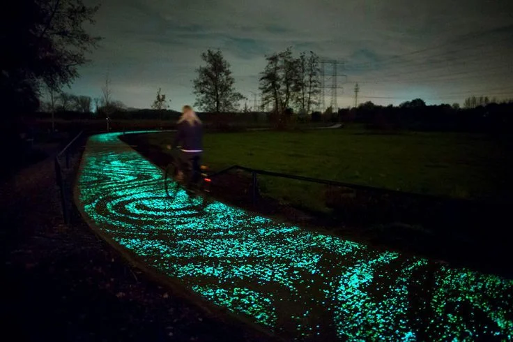 Van Gogh Starry Night Bicycle Path