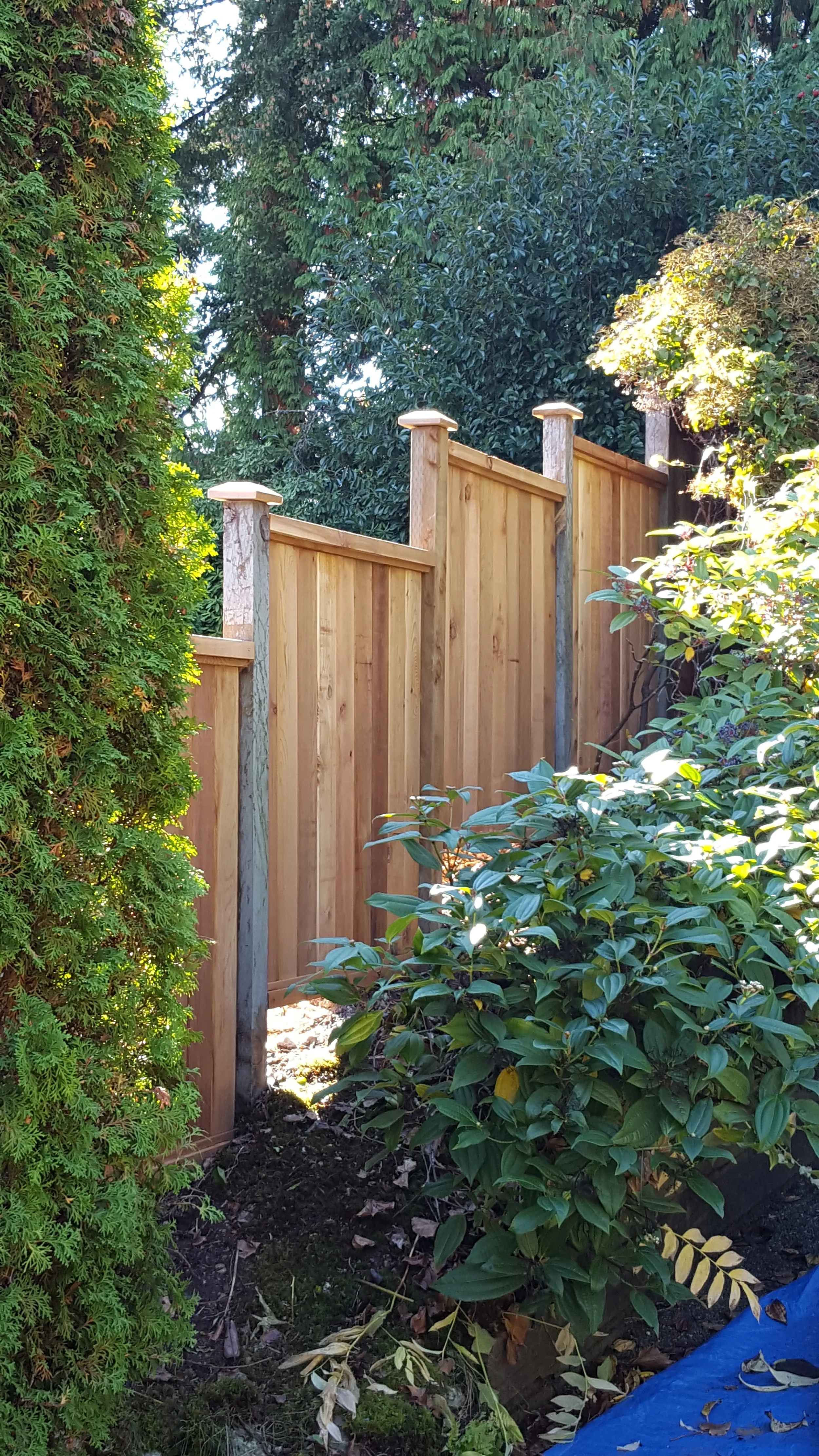 Completed fence repairs