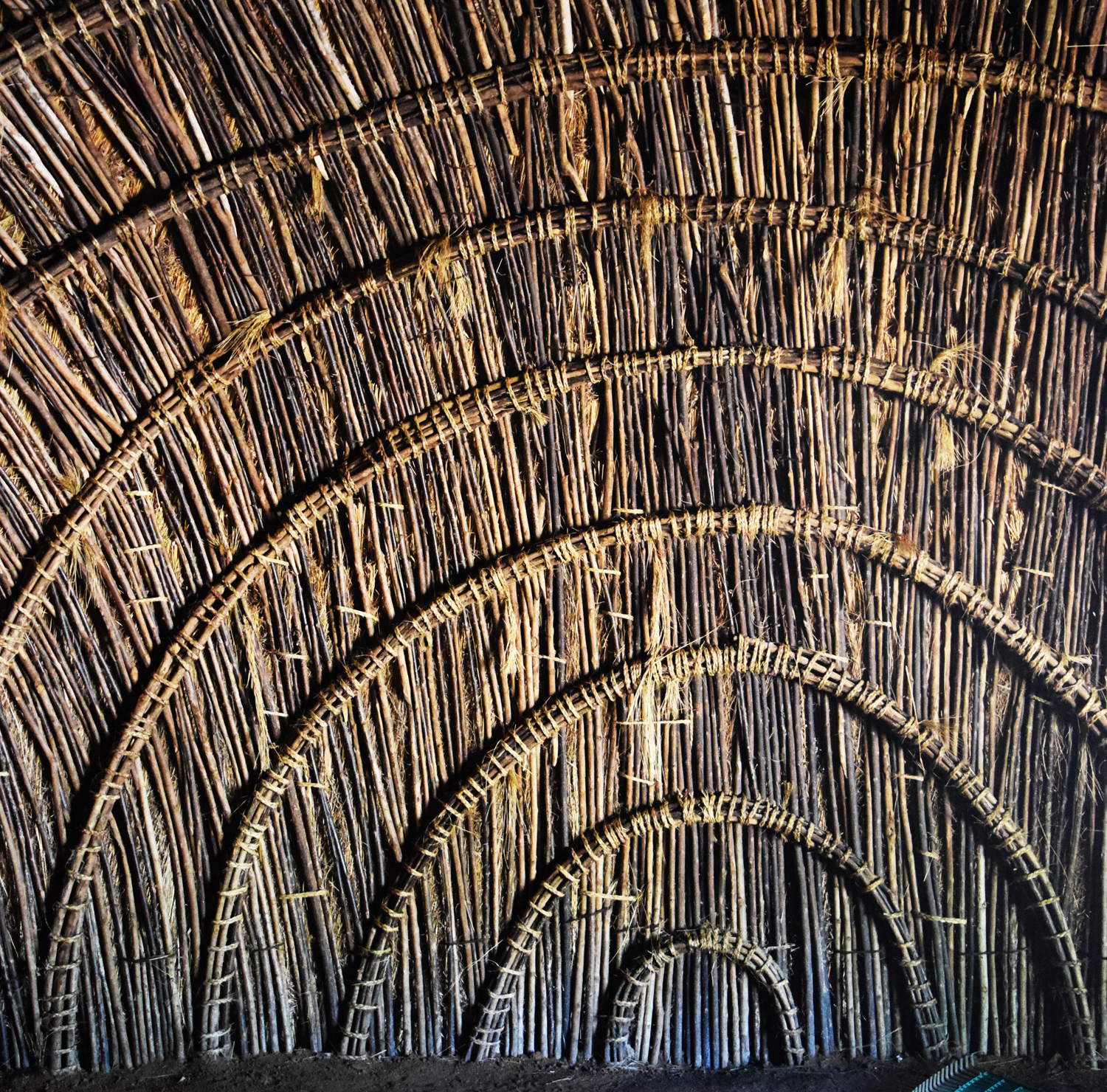 Cover Image Traditional Hut_swaziland.jpg