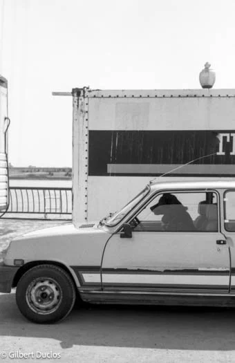 Chien au volant, Mtl 1991.jpg