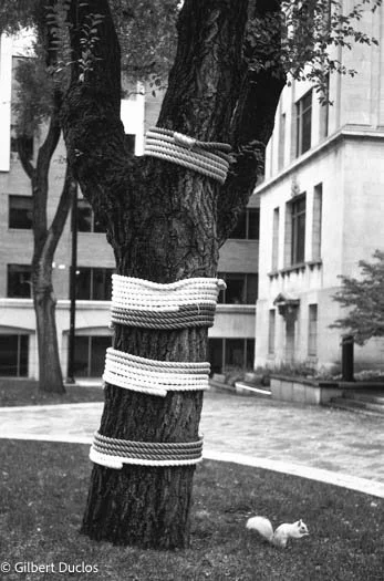 L'albinos, Mtl 2024jpg.jpg