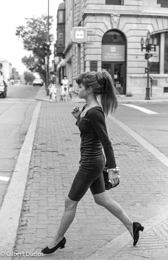 Queue de cheval Mtl 197.jpg