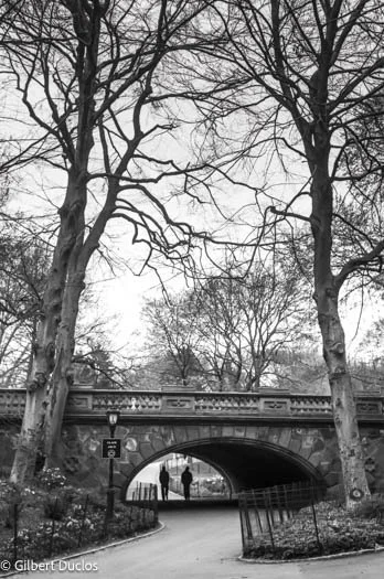 Glade arch, NY 2002.jpg