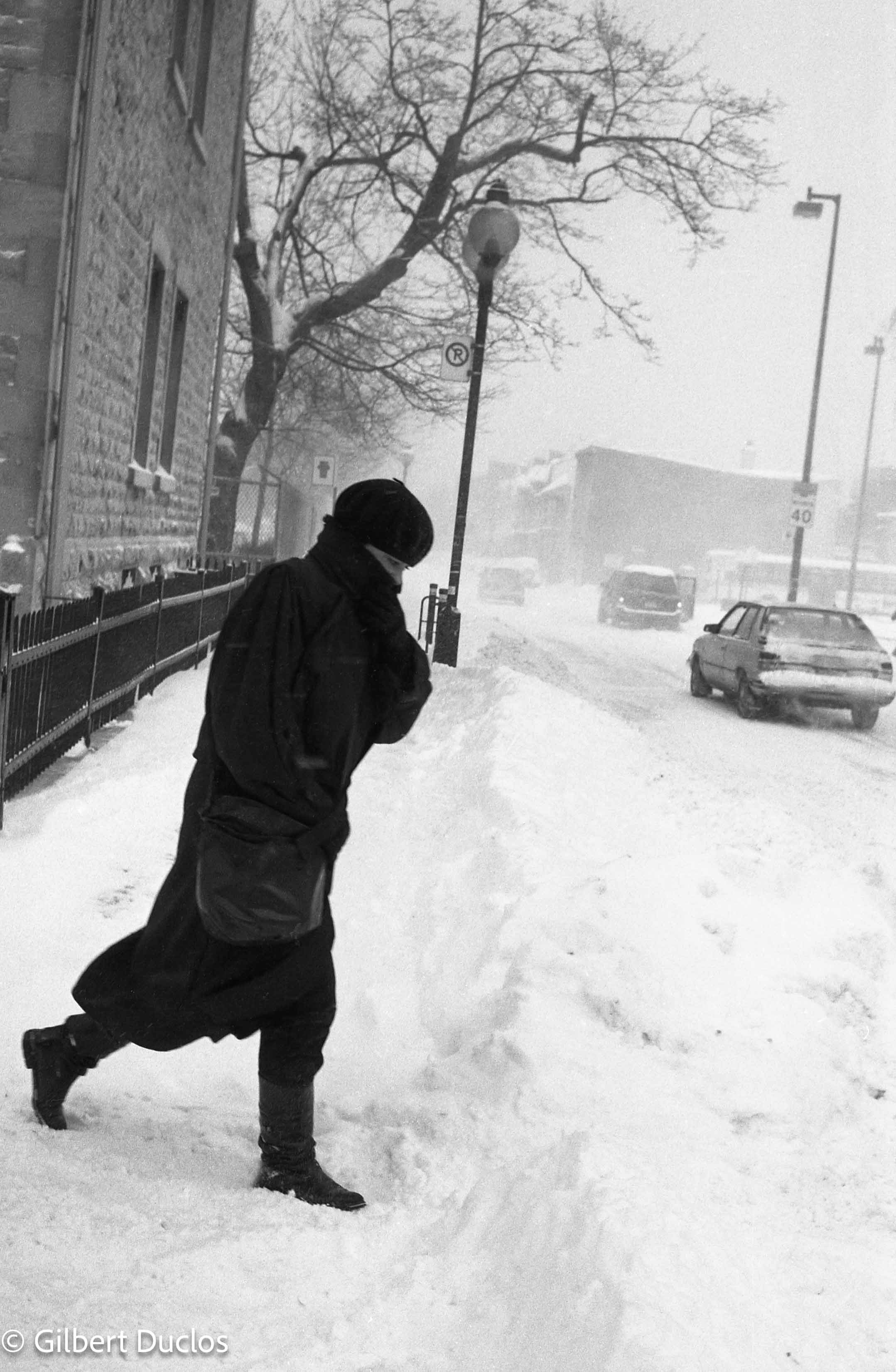 Neige sur le Plateau, Mtl 1998.jpg