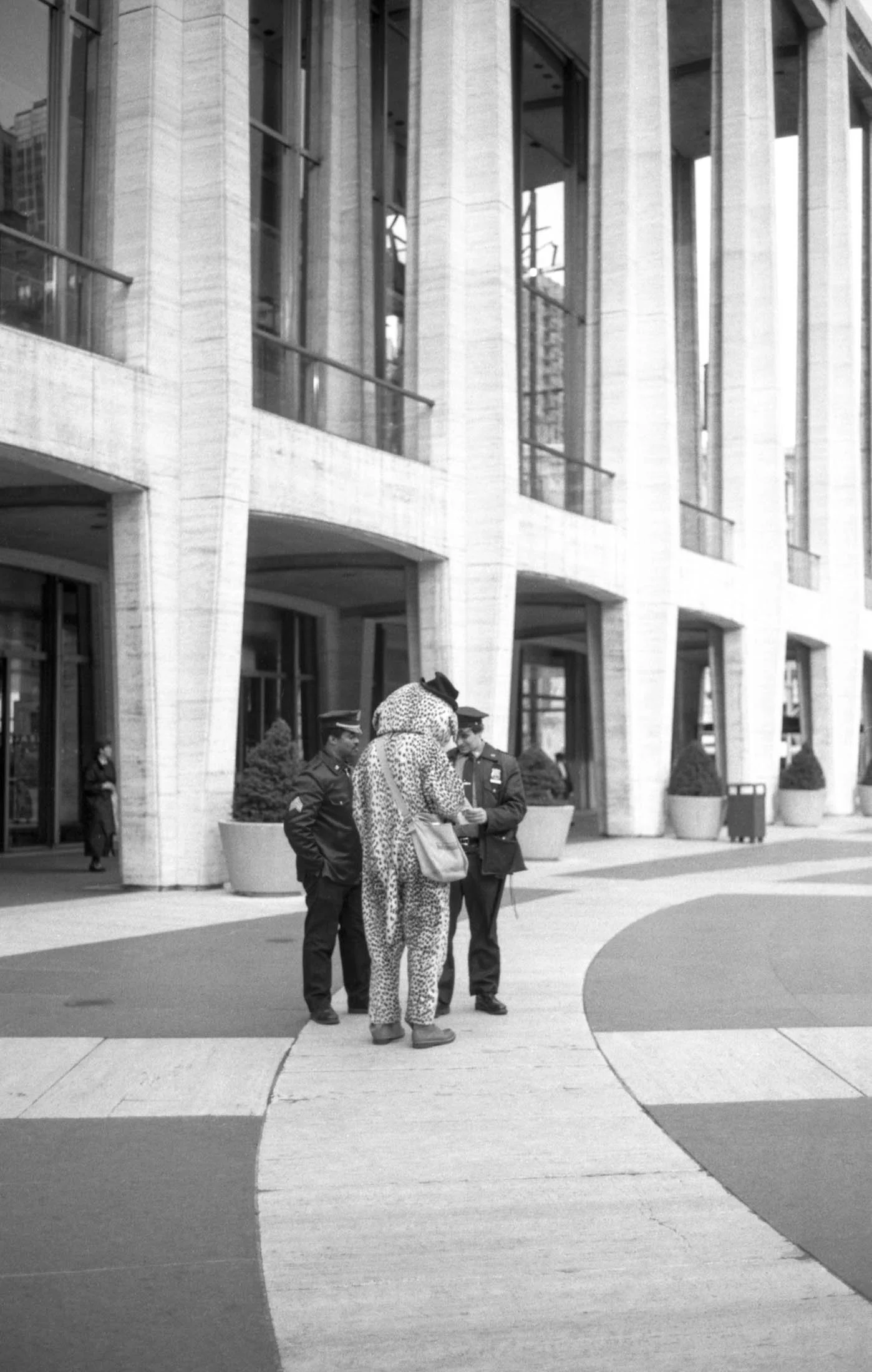 Le guépard, New York 1987  jpg-2.jpg