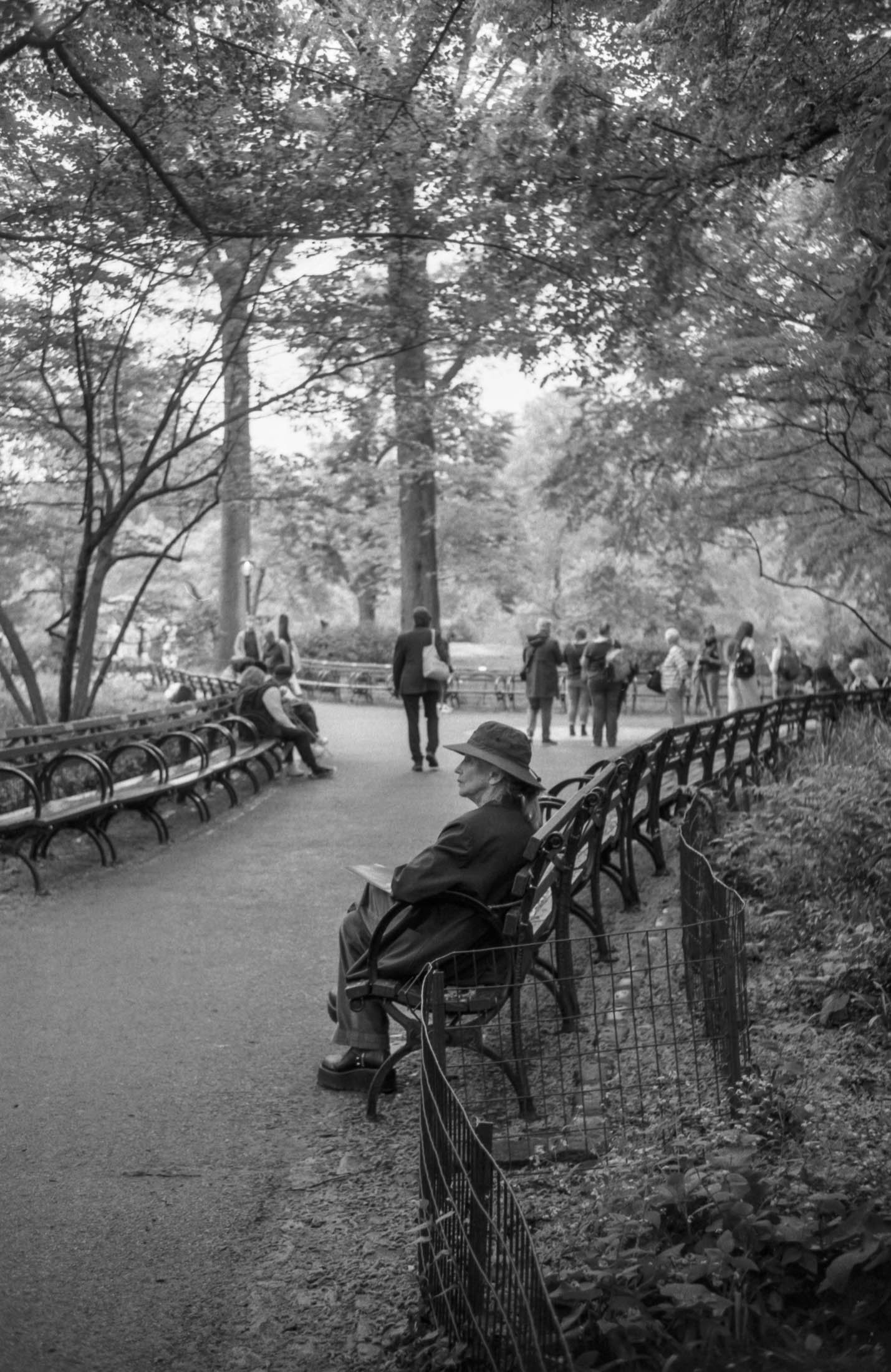 Strawberry fields for ever, NY 2024.jpg